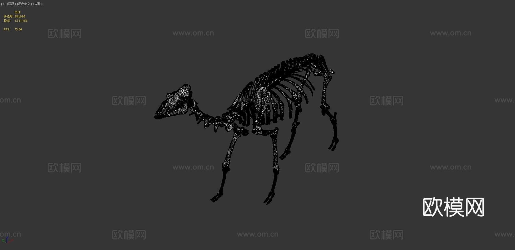 IMNH R-1007骆驼3d模型