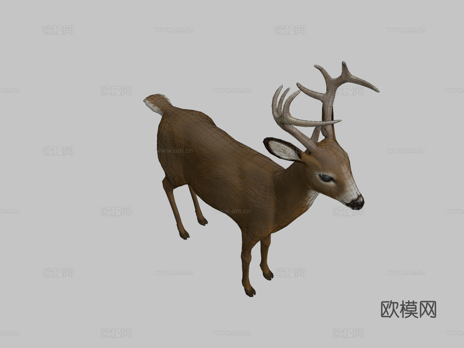 小鹿2.03d模型