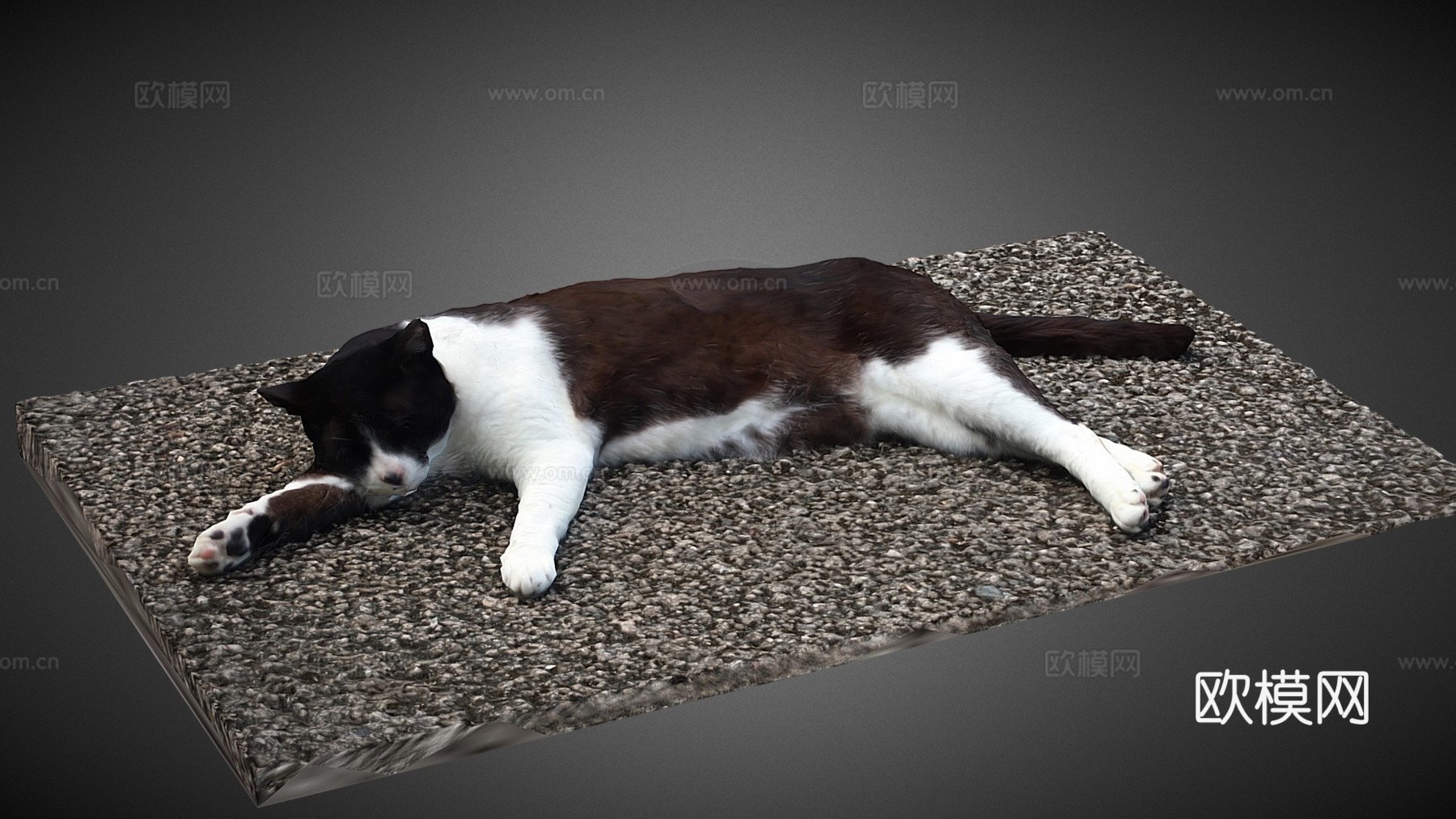 猫（娜娜）3d模型