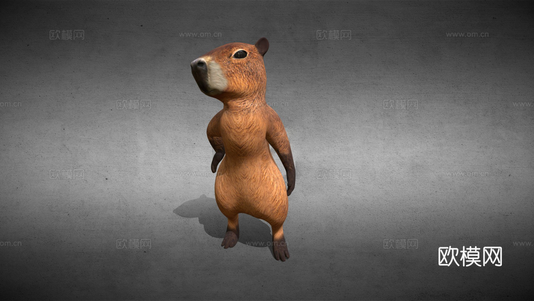 水豚-VRChat虚拟形象3d模型