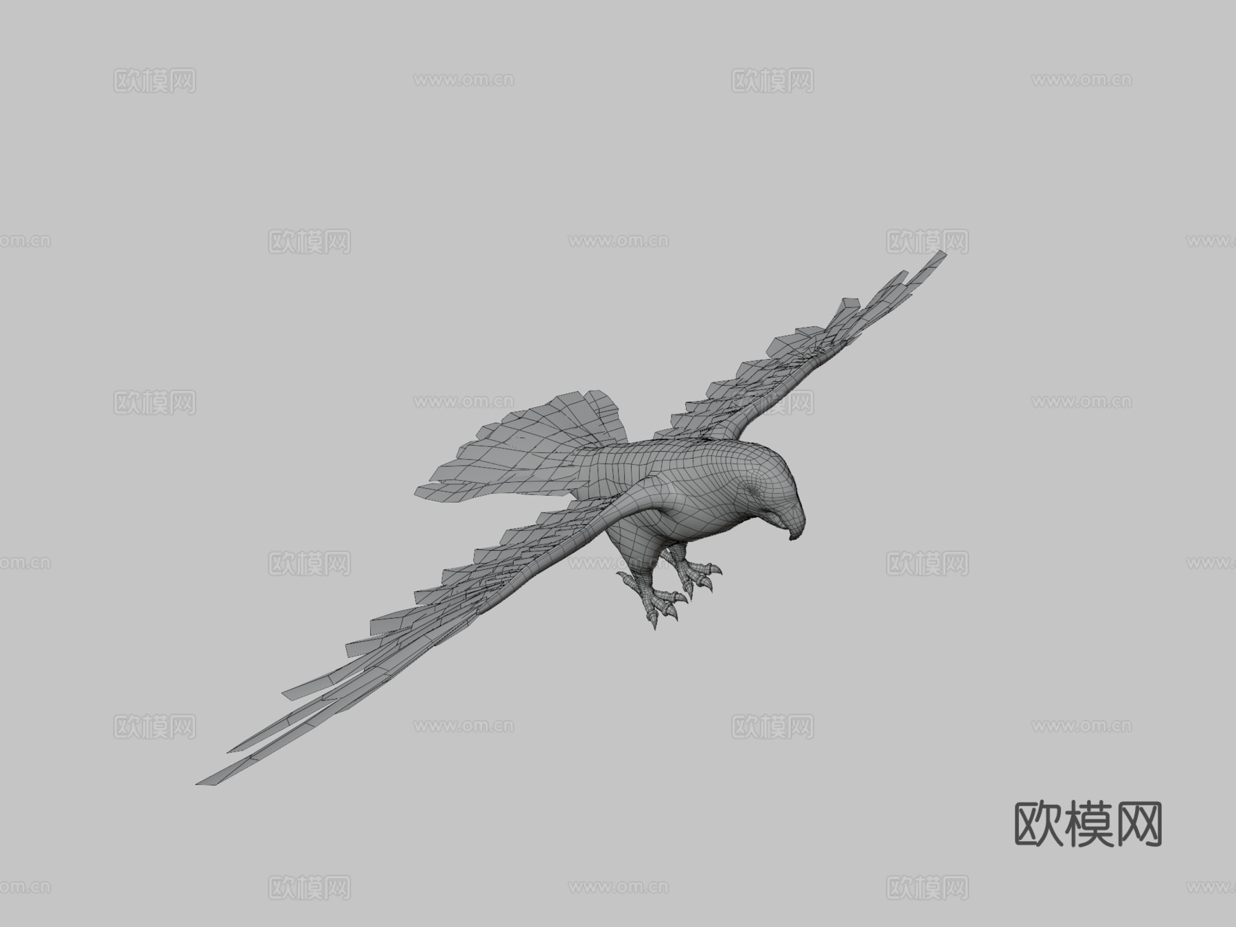 绿鹦鹉3d模型