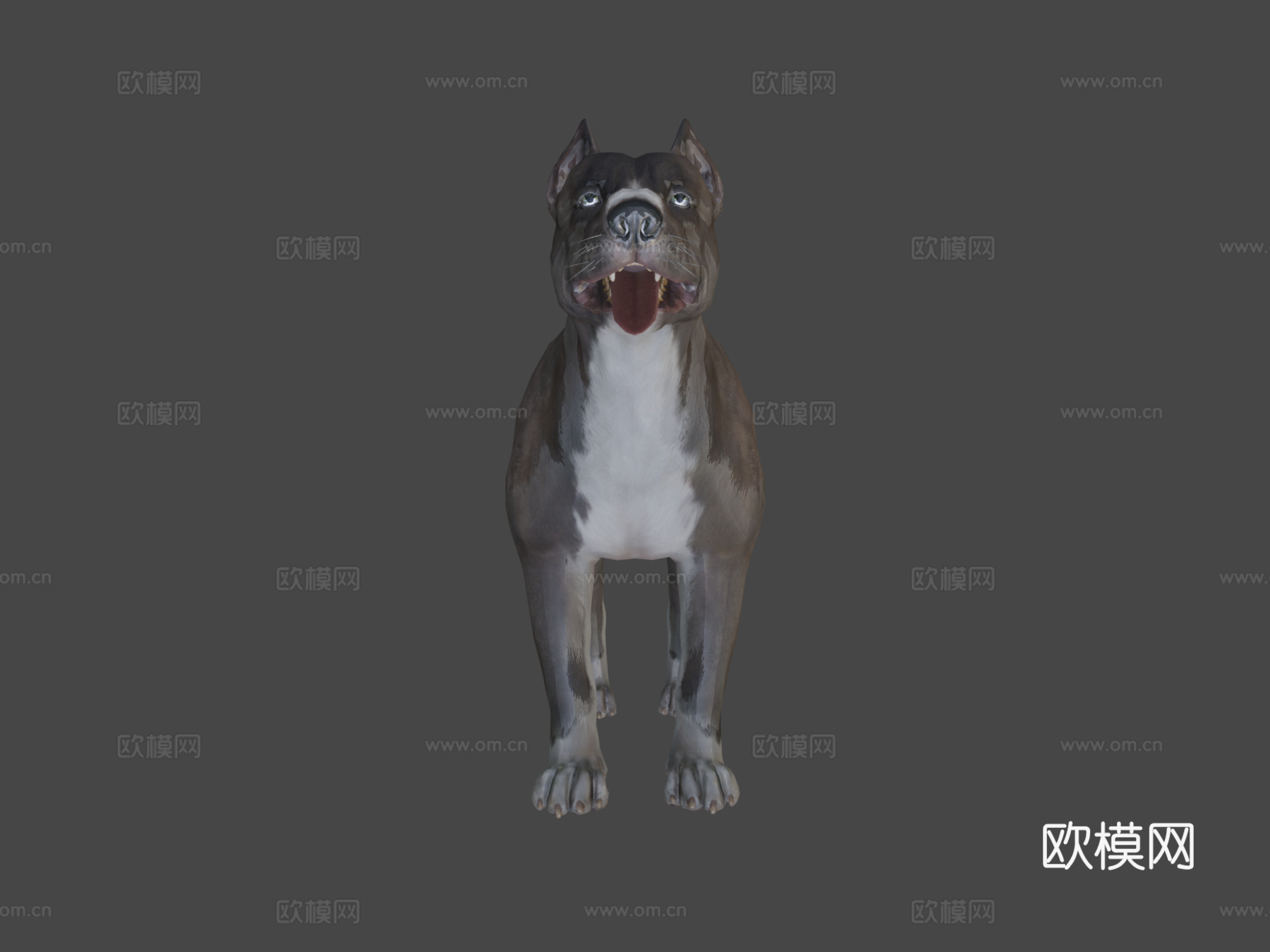 狗-比特犬3d模型