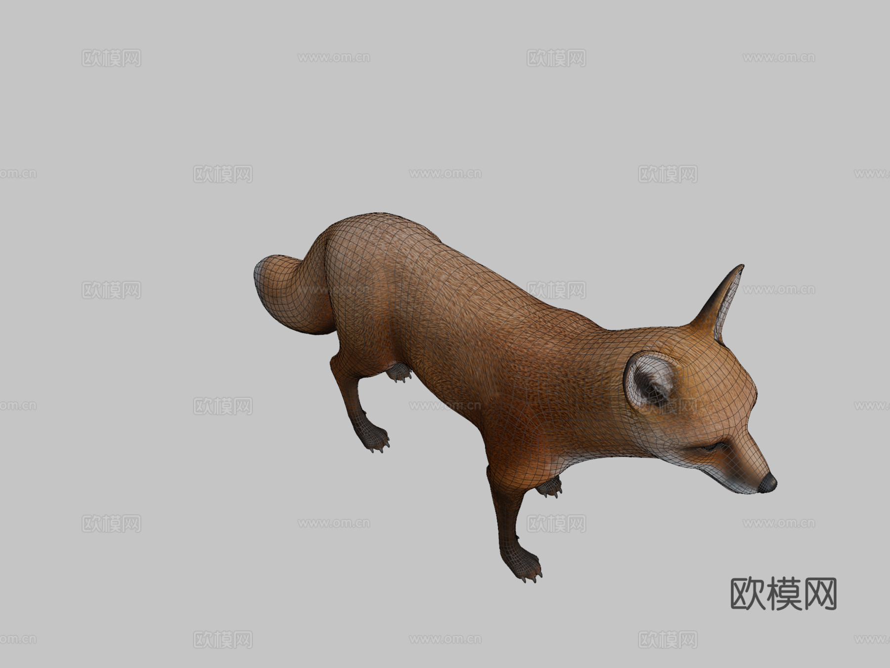 狐狸3d模型