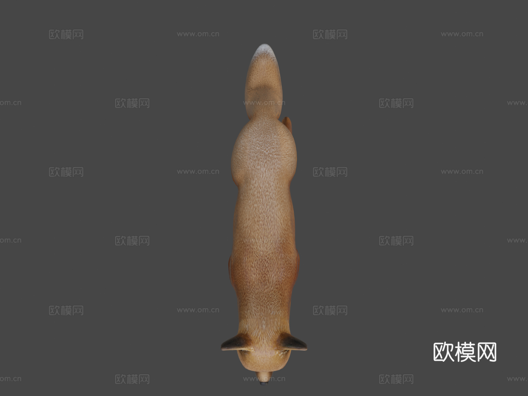 狐狸3d模型