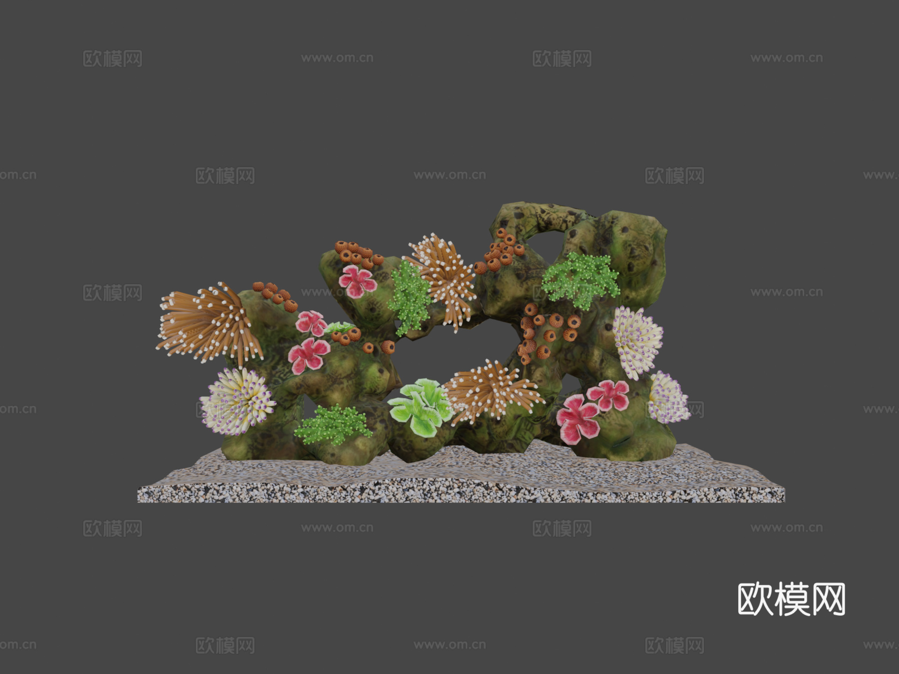 珊瑚礁3d模型