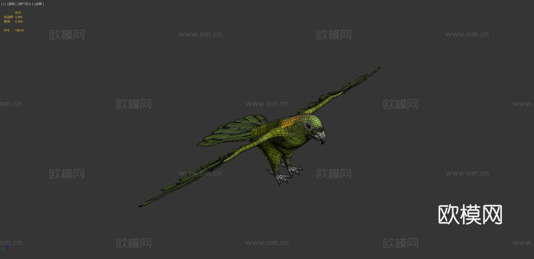 绿鹦鹉3d模型