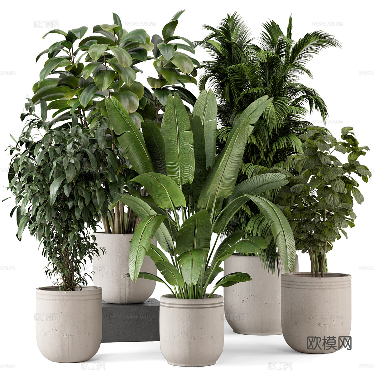 现代侘寂绿植盆栽3d模型