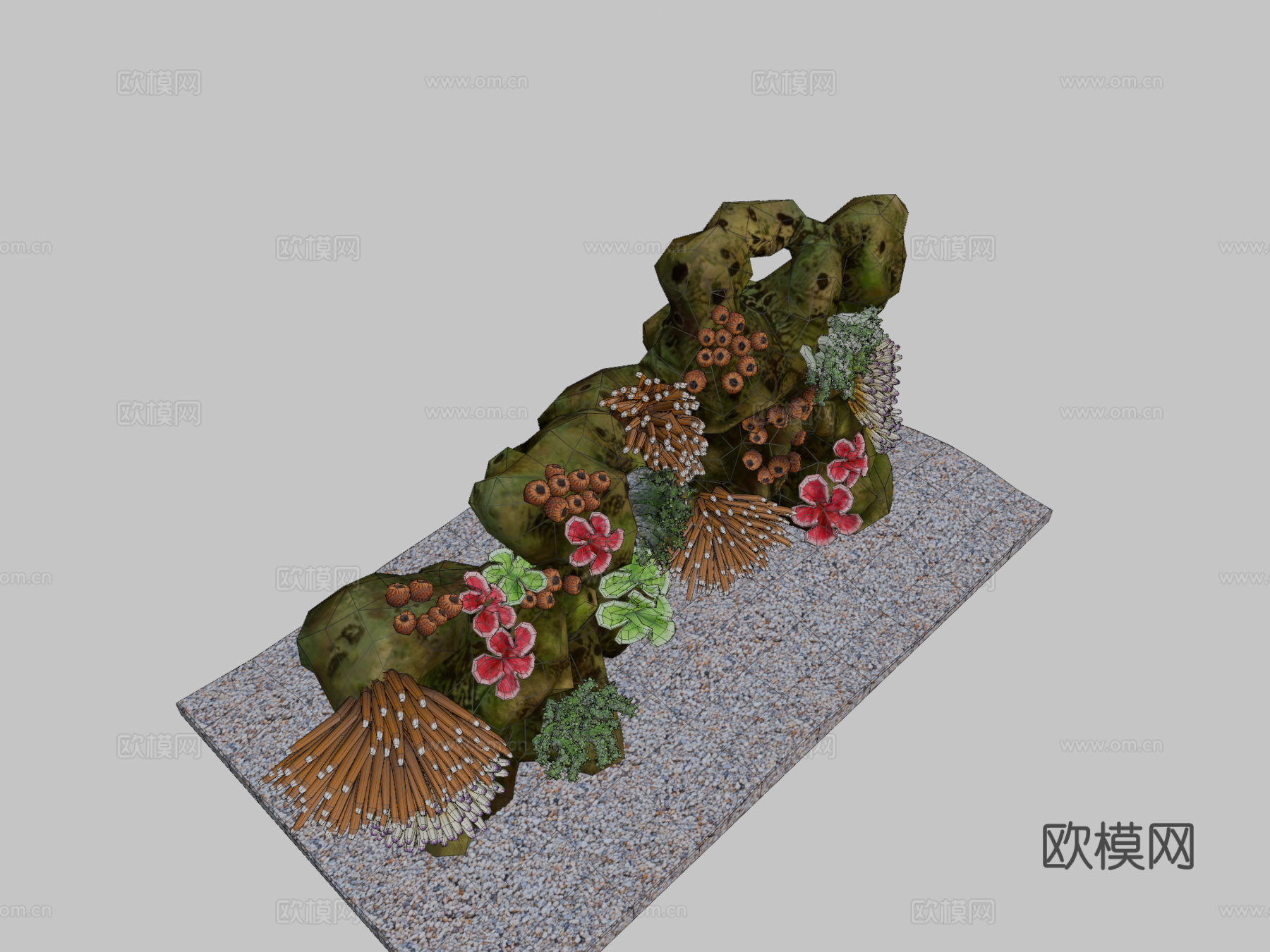 珊瑚礁3d模型