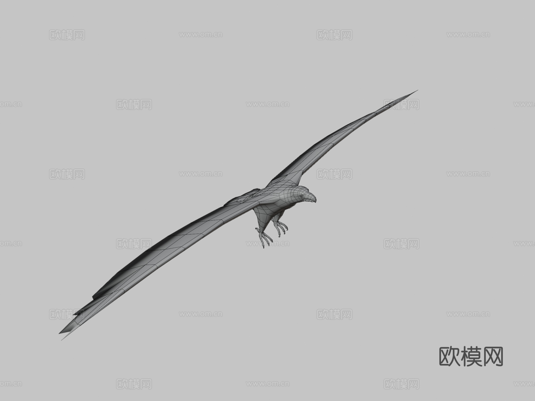 DRT-鸟类与小动物-鹰3d模型