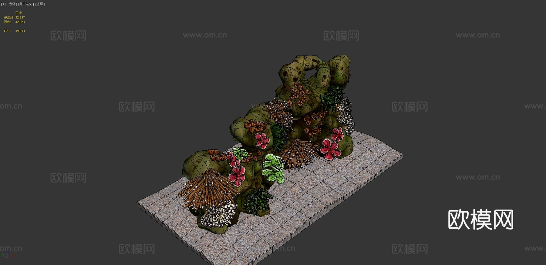 珊瑚礁3d模型