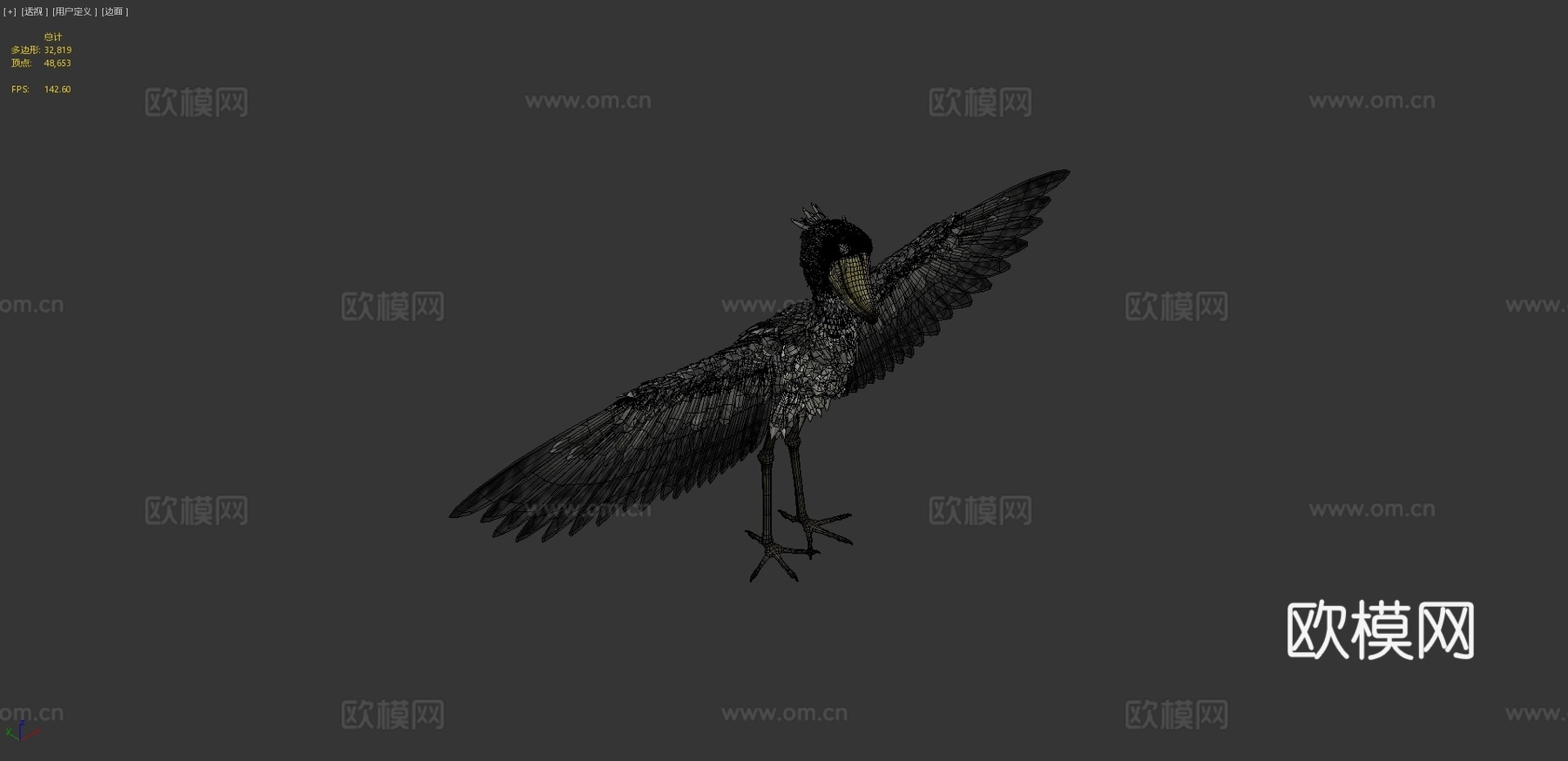 鲸头鹳3d模型