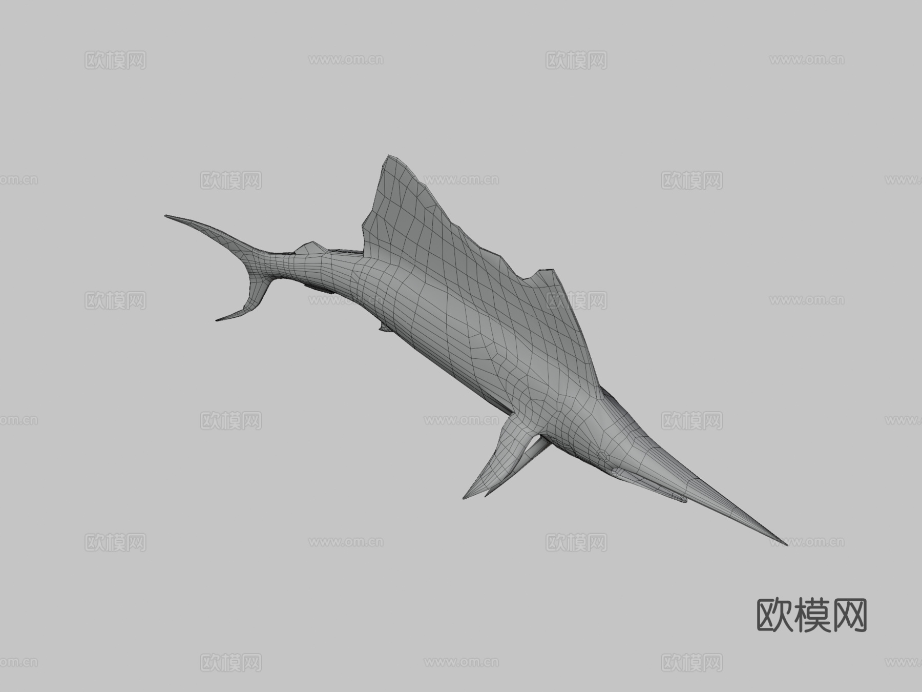 旗鱼3d模型