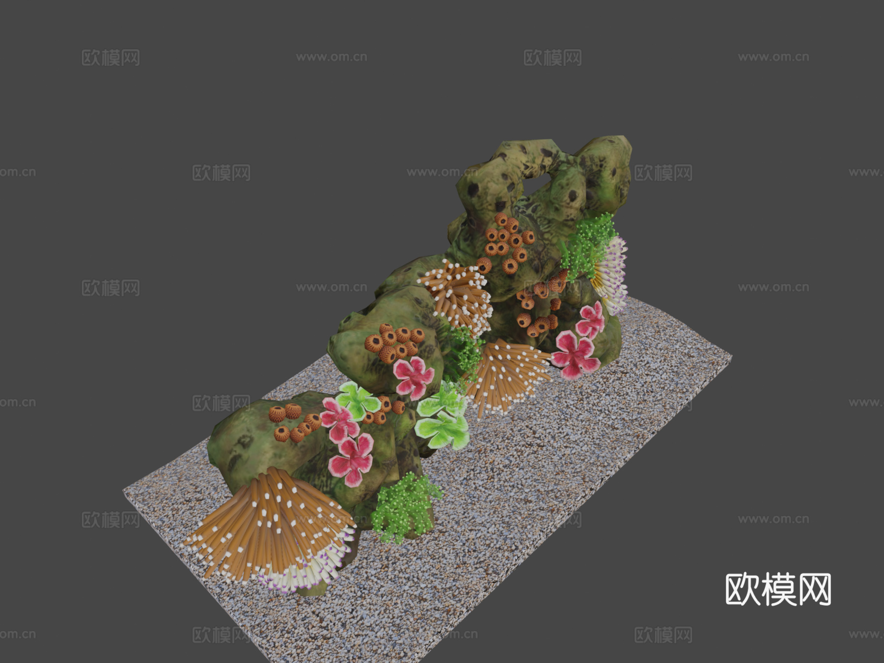 珊瑚礁3d模型