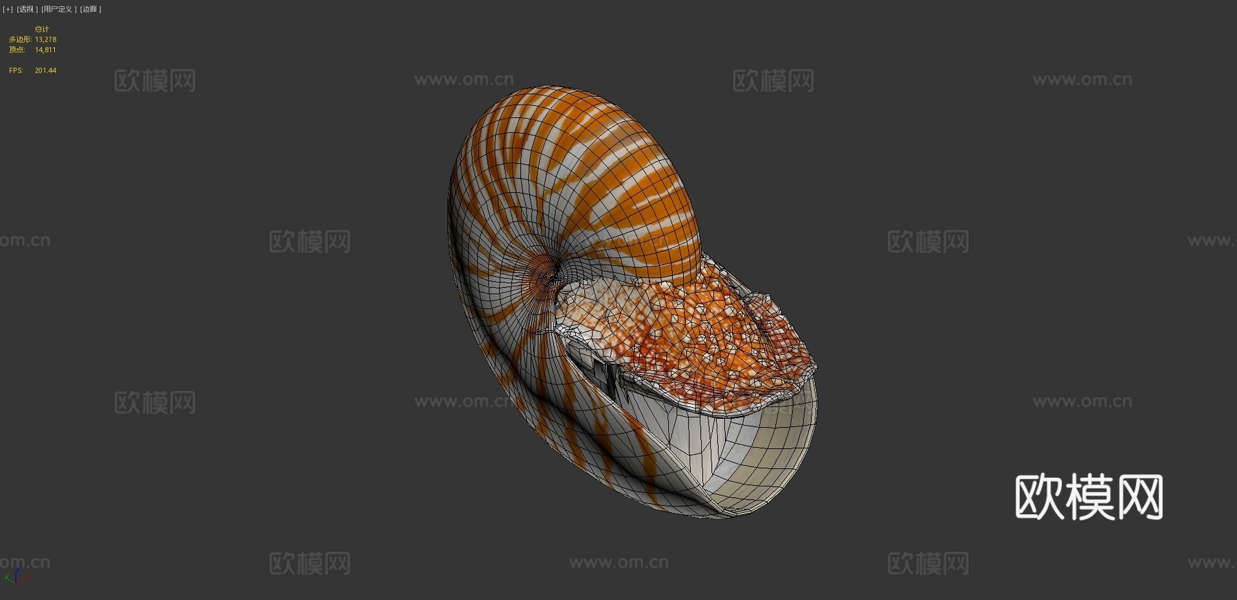 鹦鹉螺3d模型