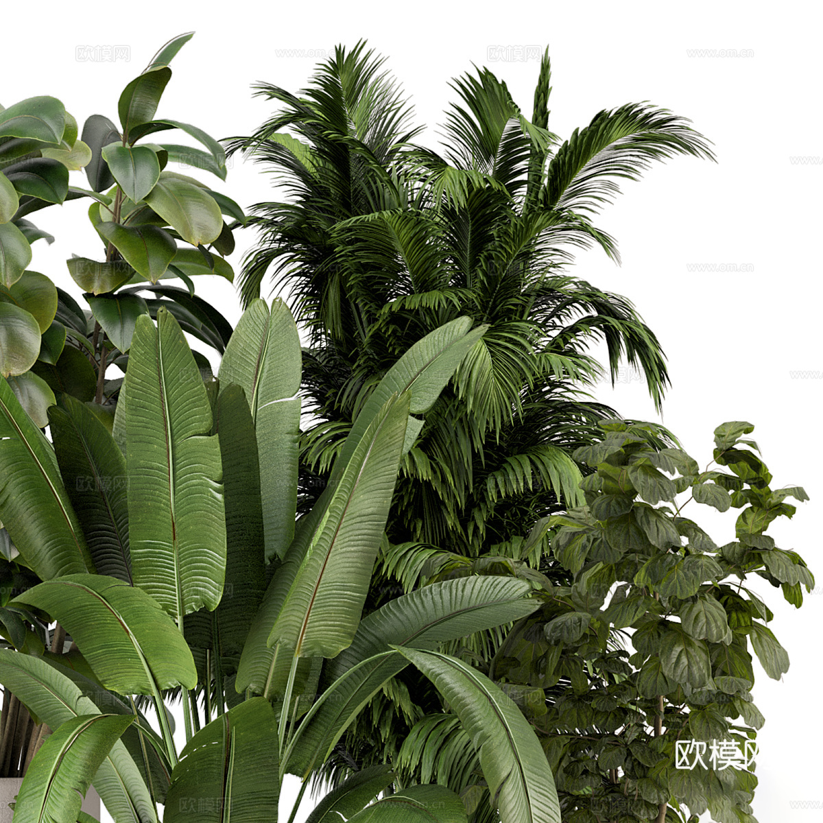 现代侘寂绿植盆栽3d模型