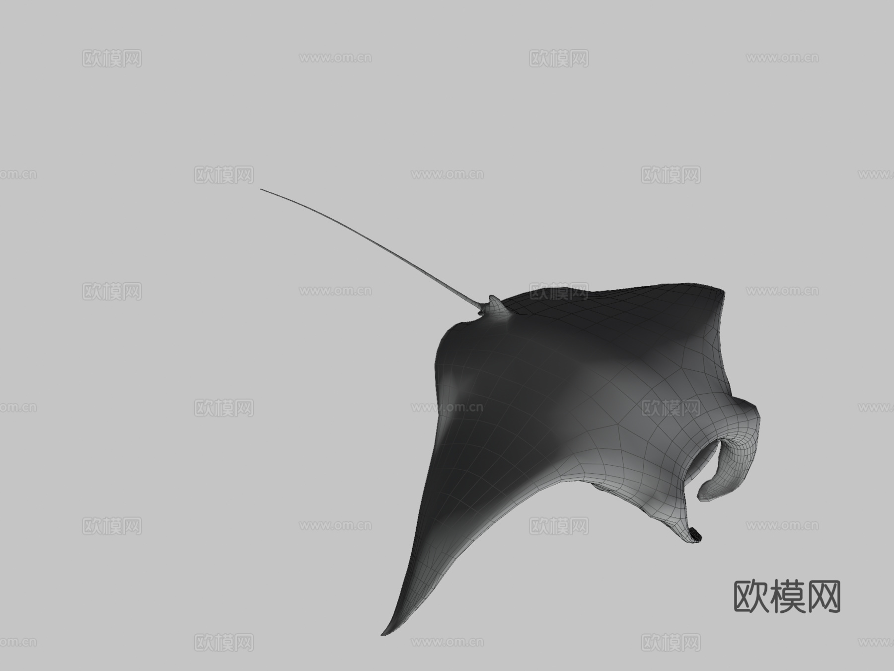 巨型蝠鲼（旧版1）3d模型