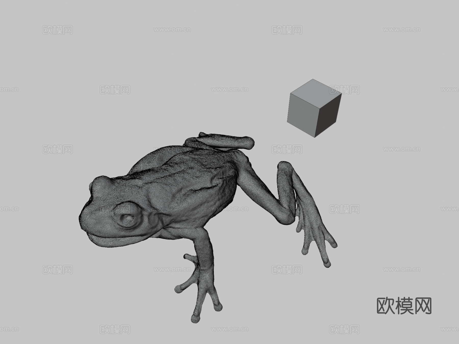 CC0日本树蛙?日本树蛙，D.japonicus3d模型