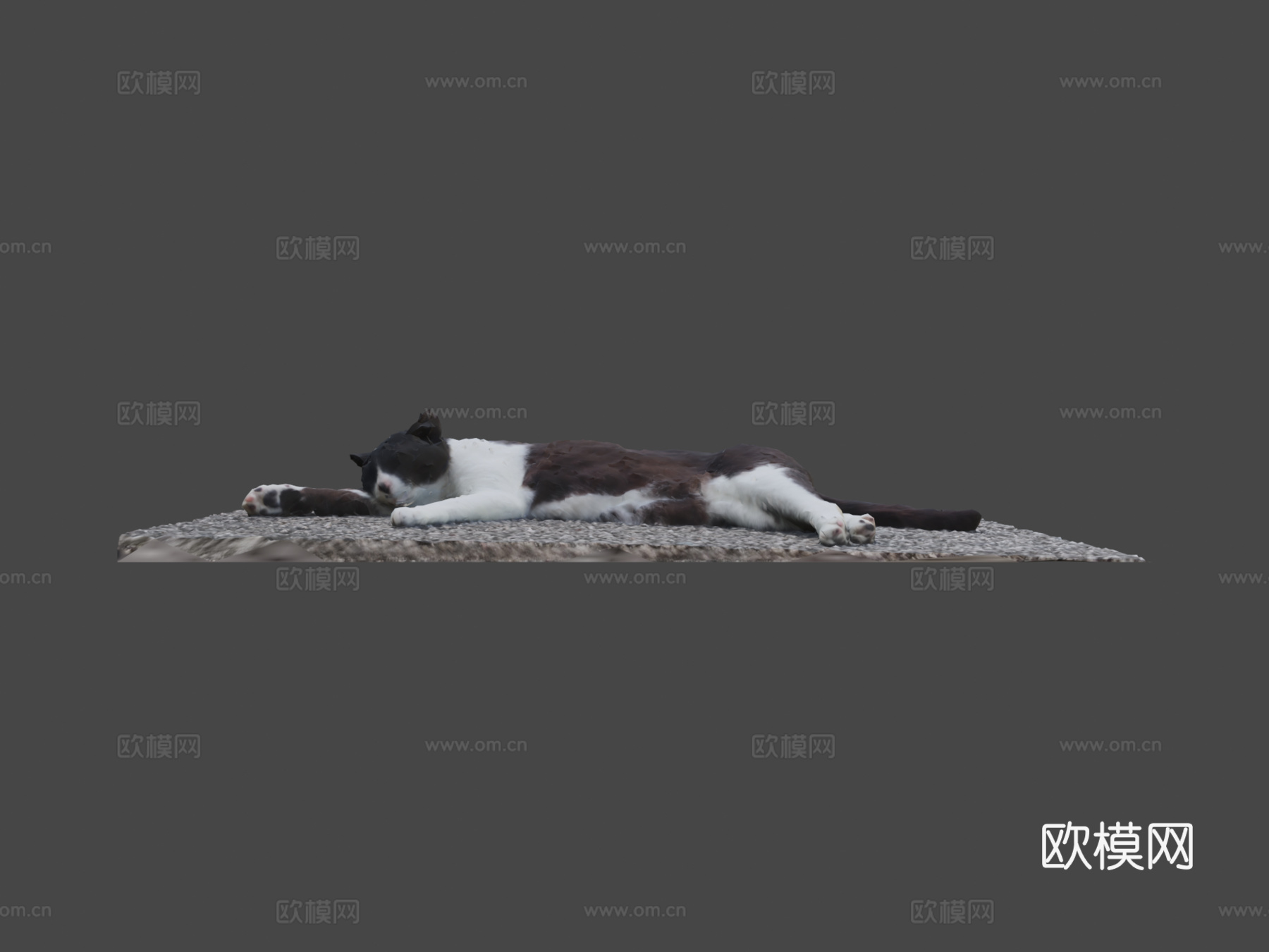 猫（娜娜）3d模型
