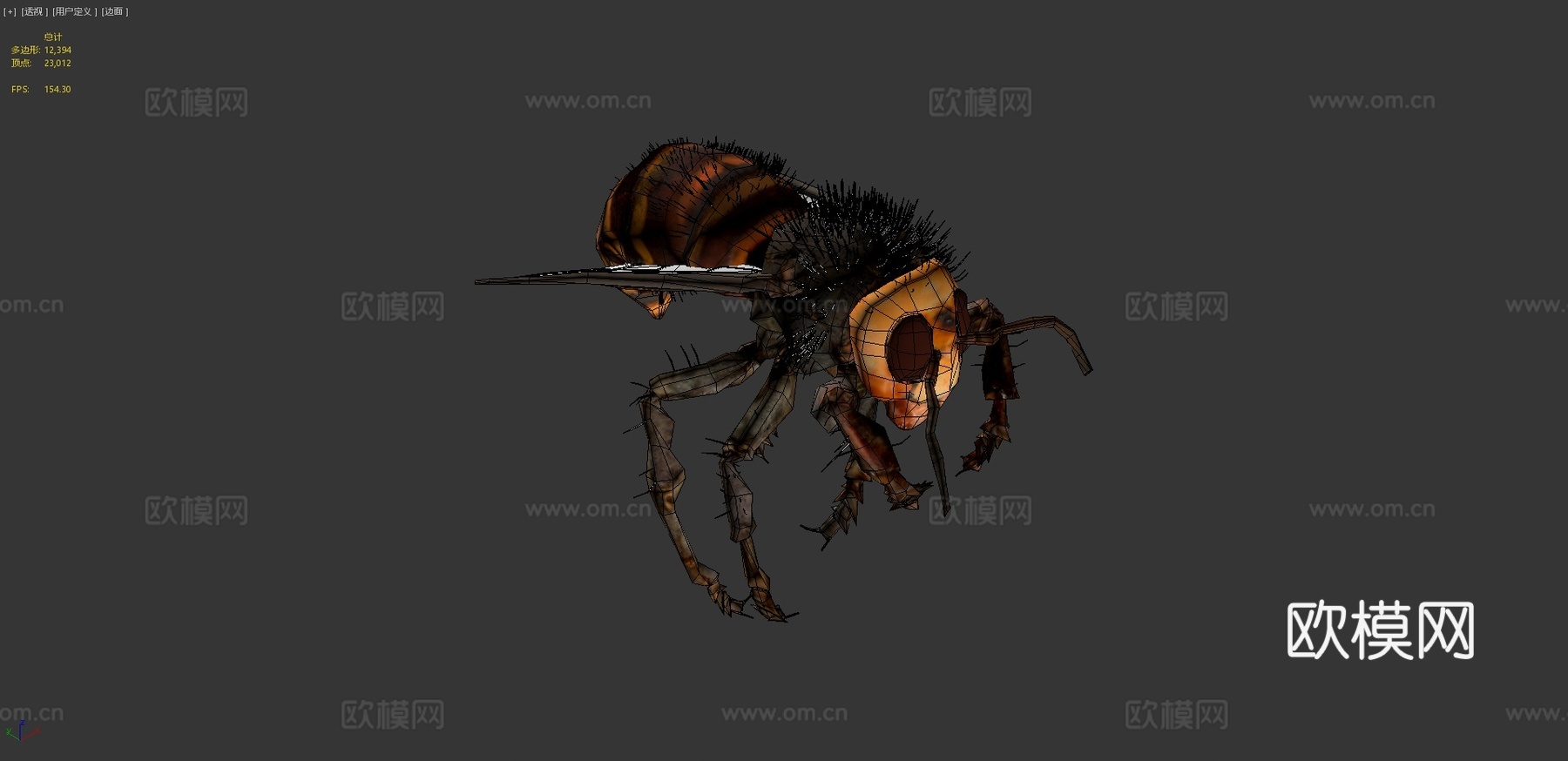 蜜蜂3d模型