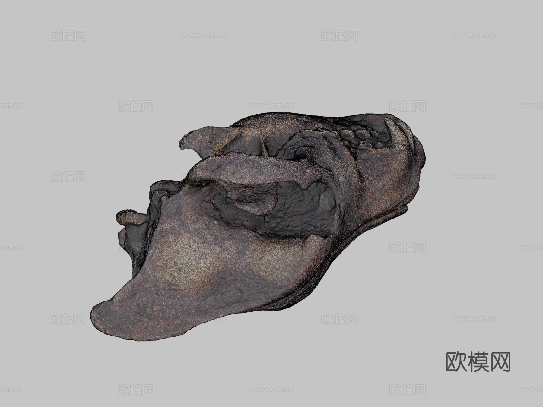恐狼头骨3d模型