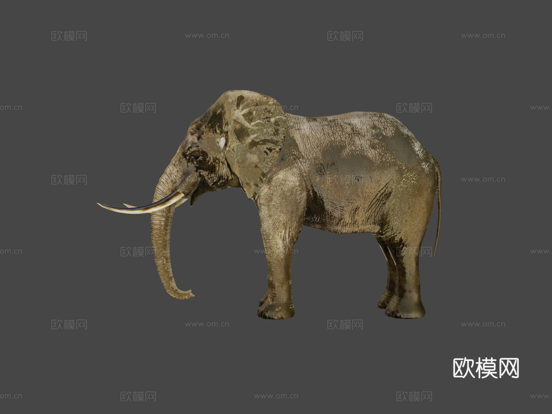 行走的大象3d模型