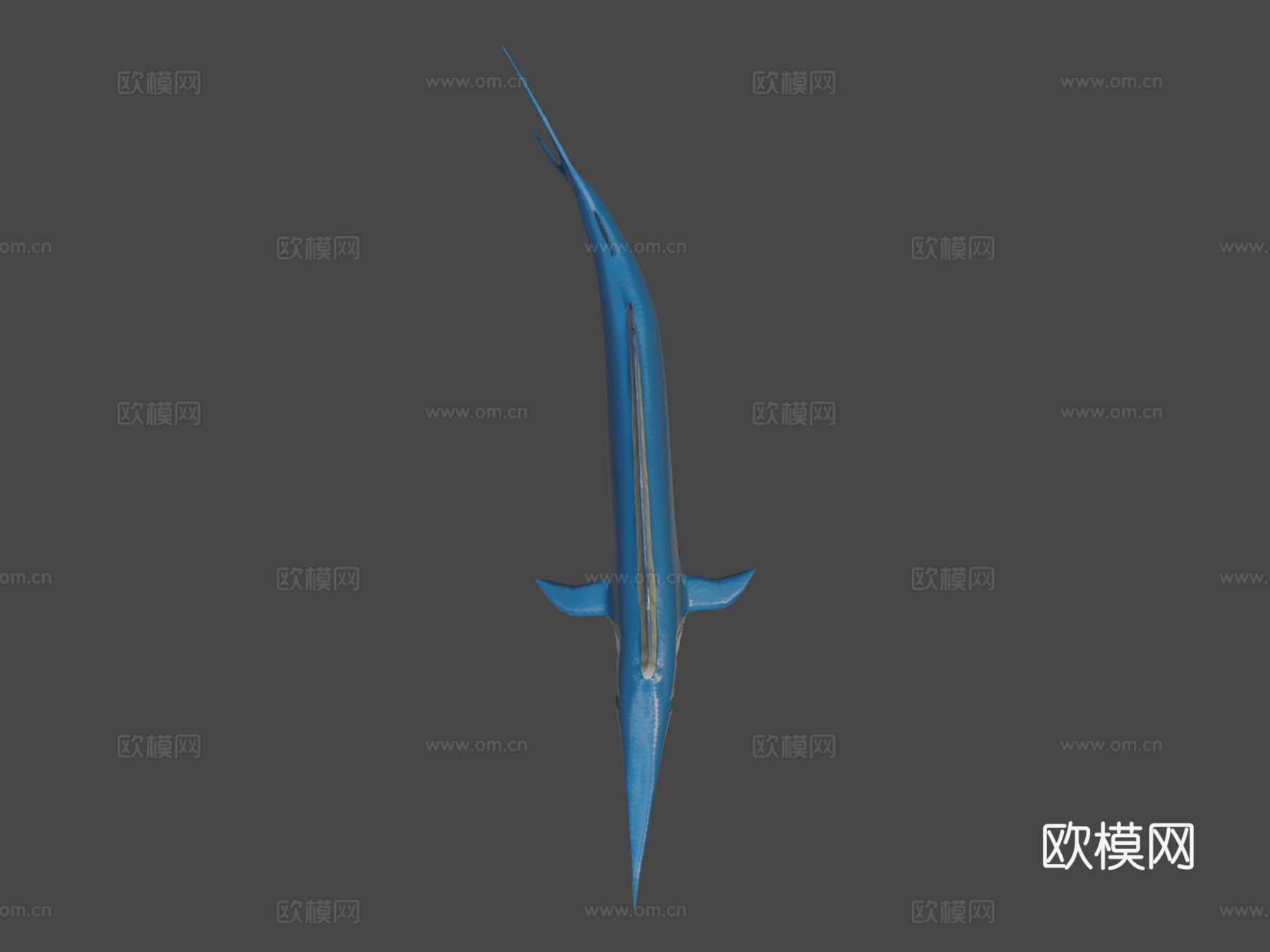 旗鱼3d模型