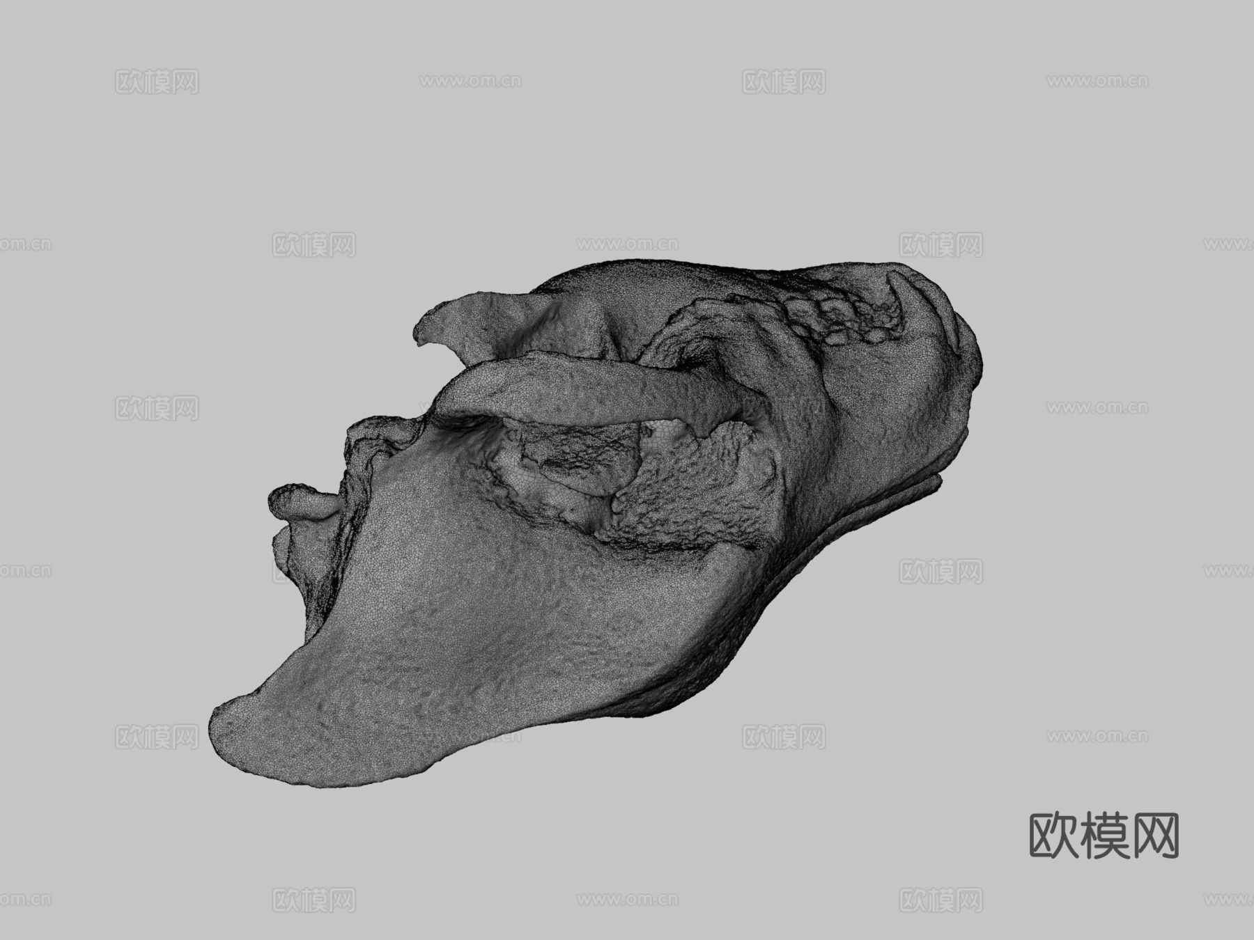 恐狼头骨3d模型