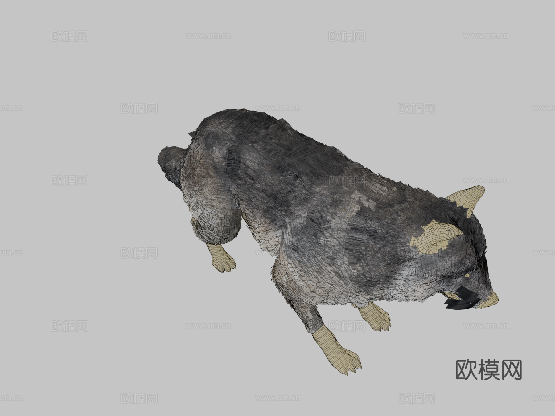 毛茸茸的狼3d模型