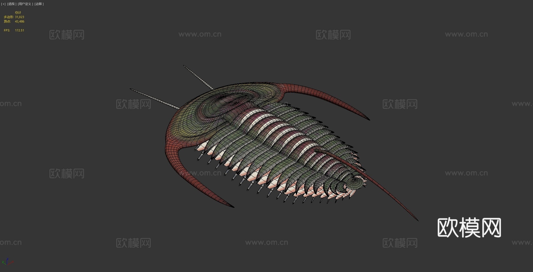 中间型始莱德利基虫3d模型