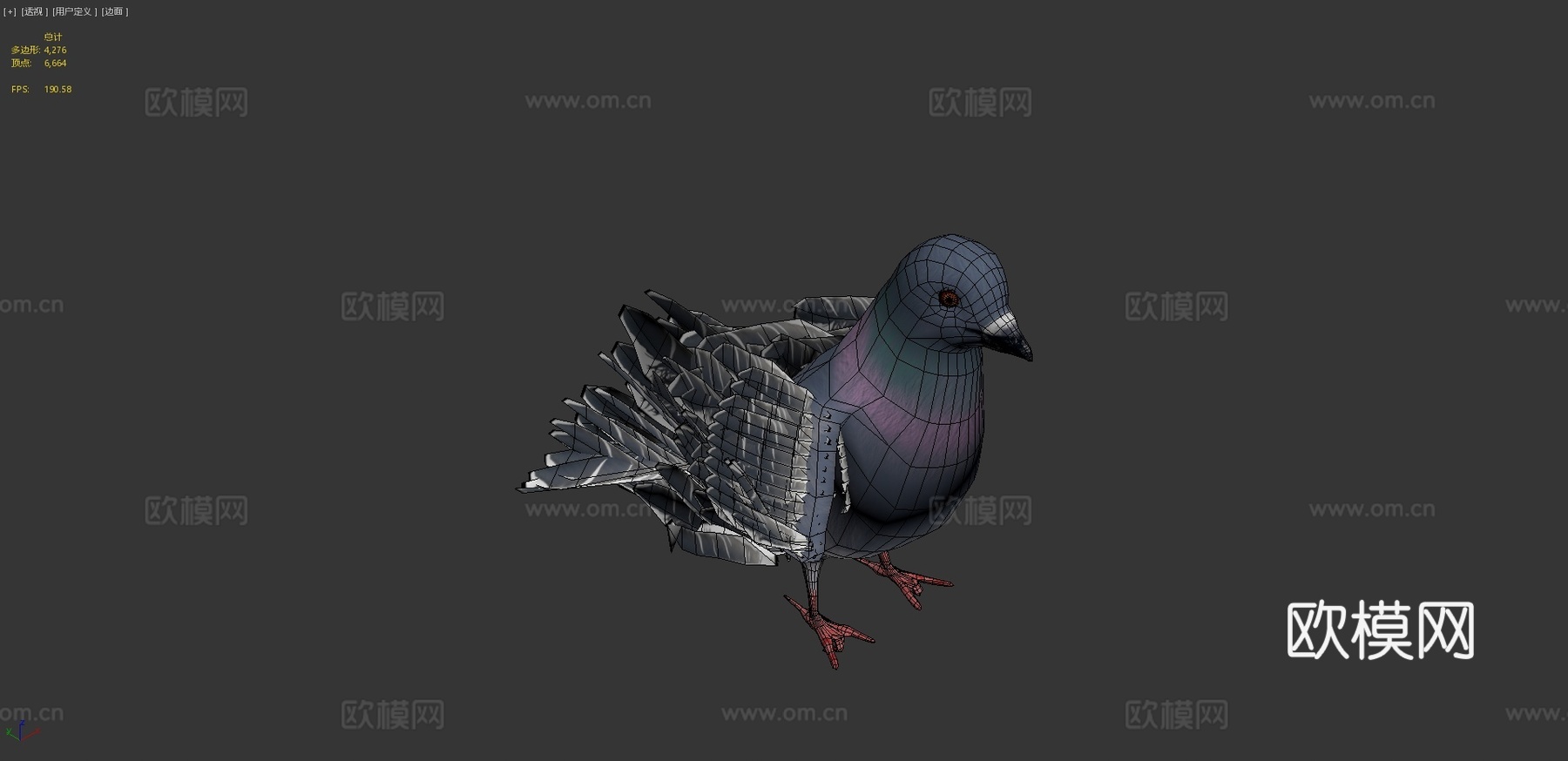 鸽子3d模型