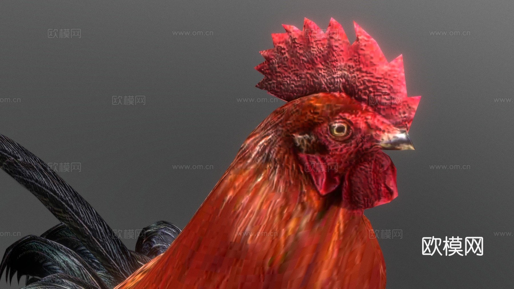 低多边形鸡3d模型