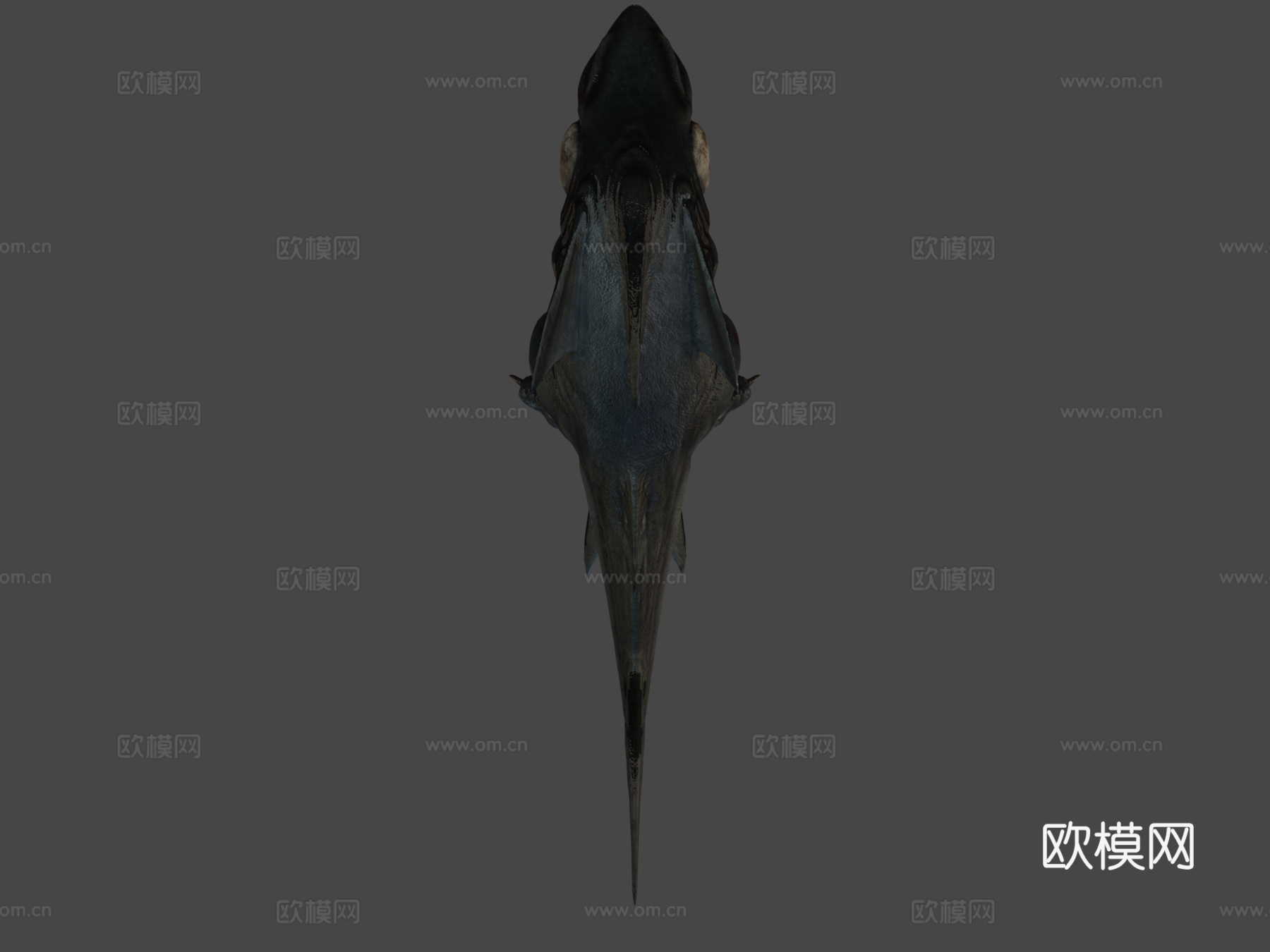 巨齿鲨雷克斯(制作中#3)动画3d模型