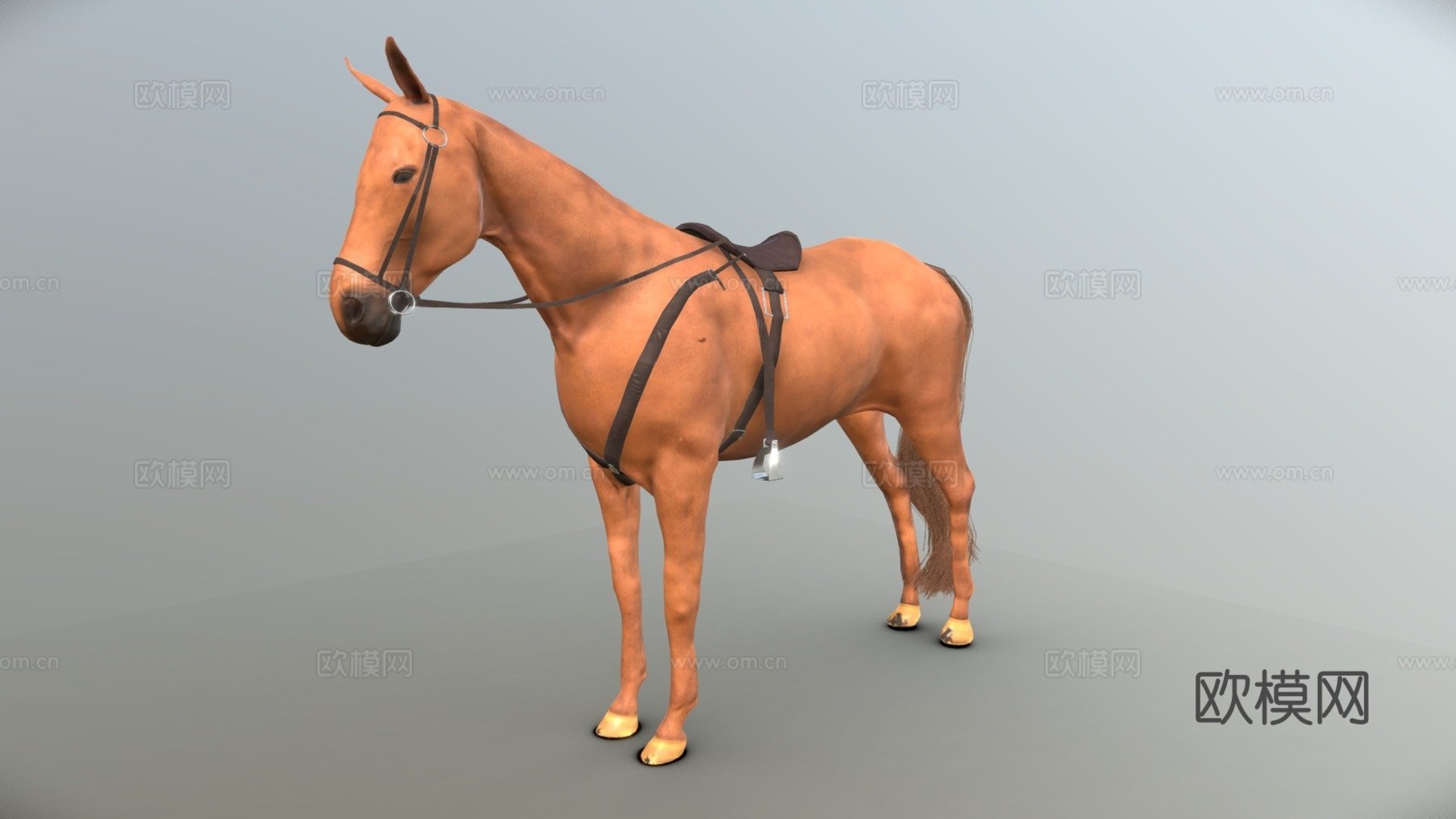 带鞍马匹3d模型