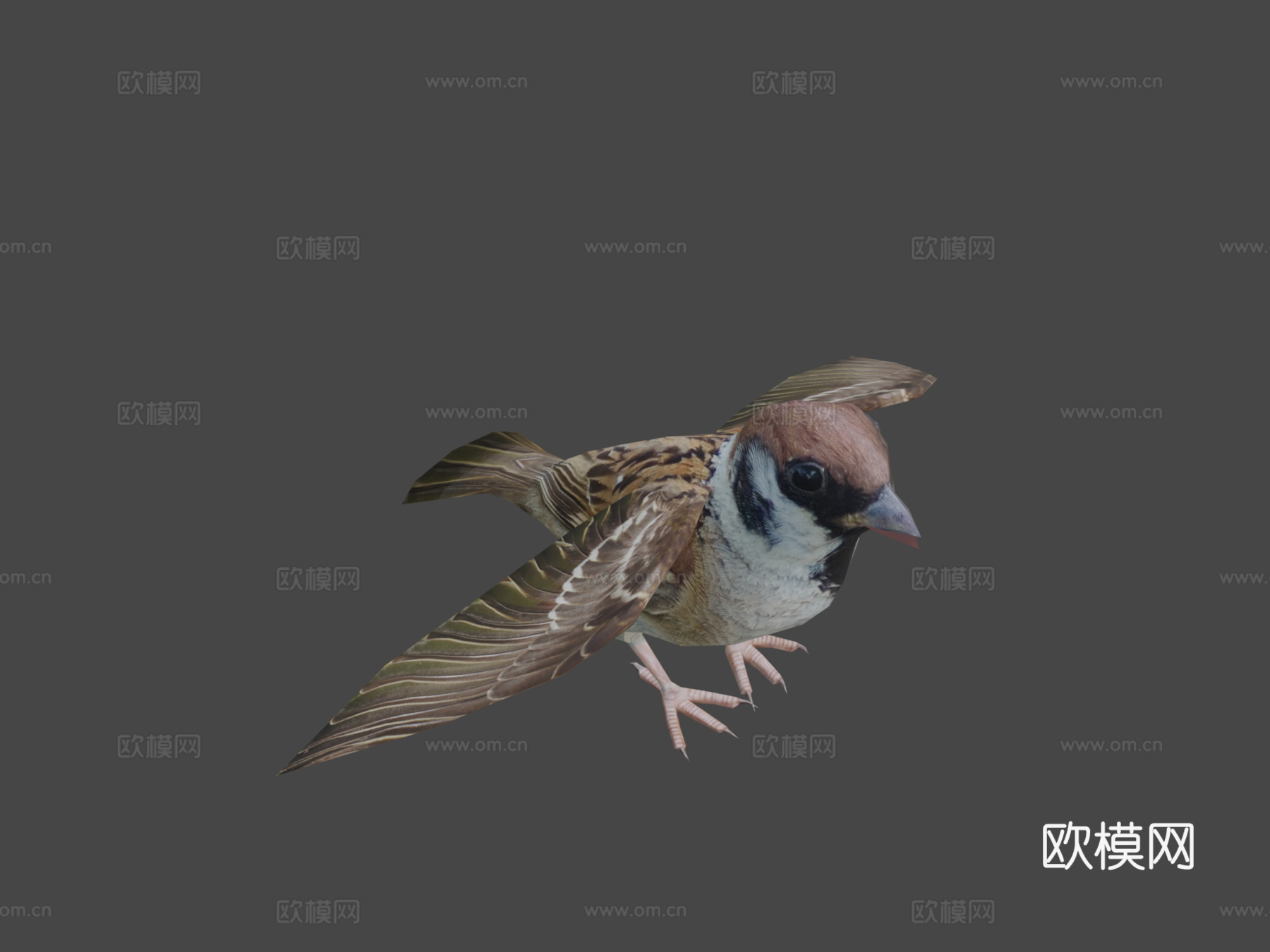 DRT-鸟类与小动物-麻雀3d模型