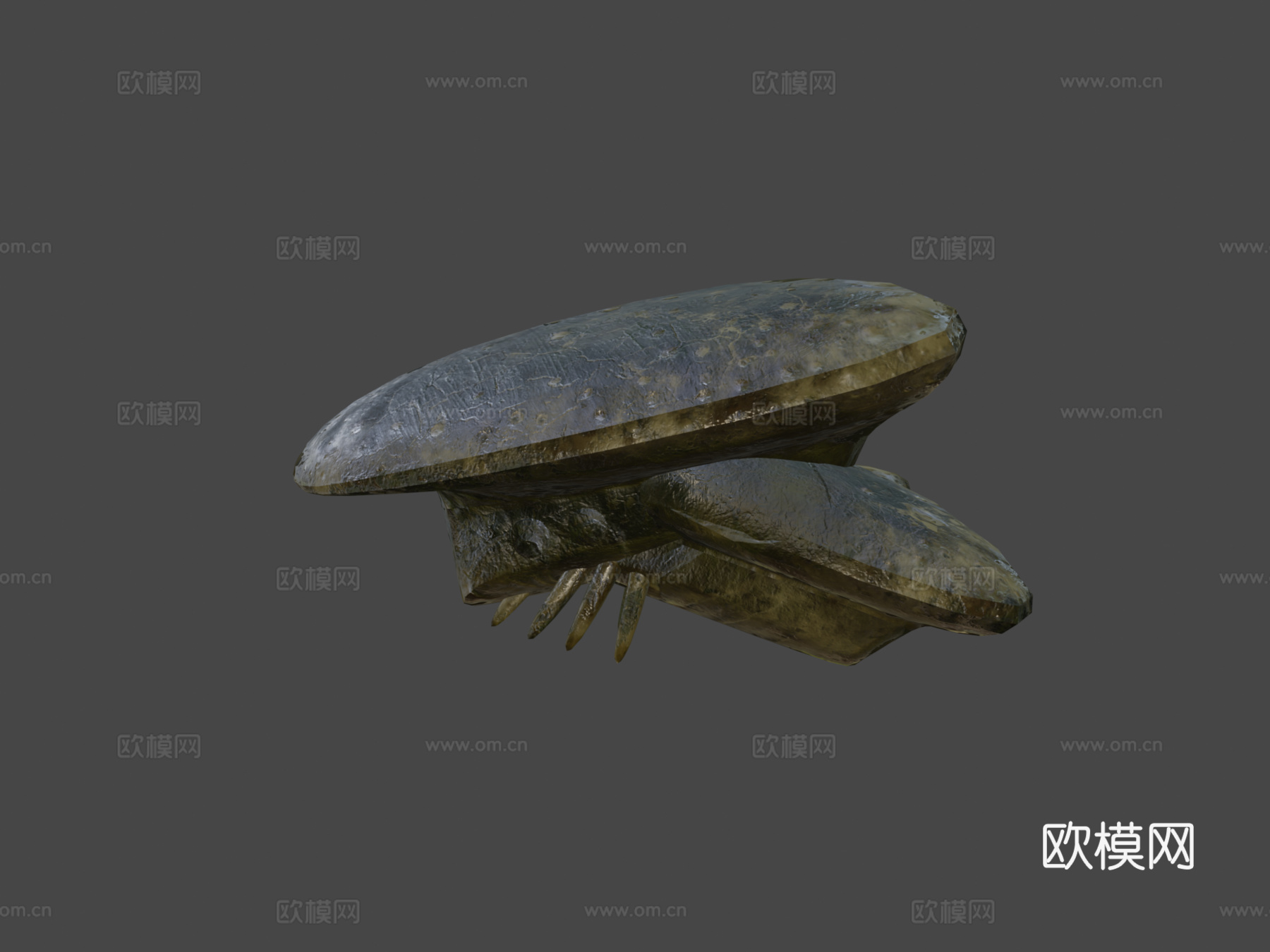 蛛形纲多足生物3d模型