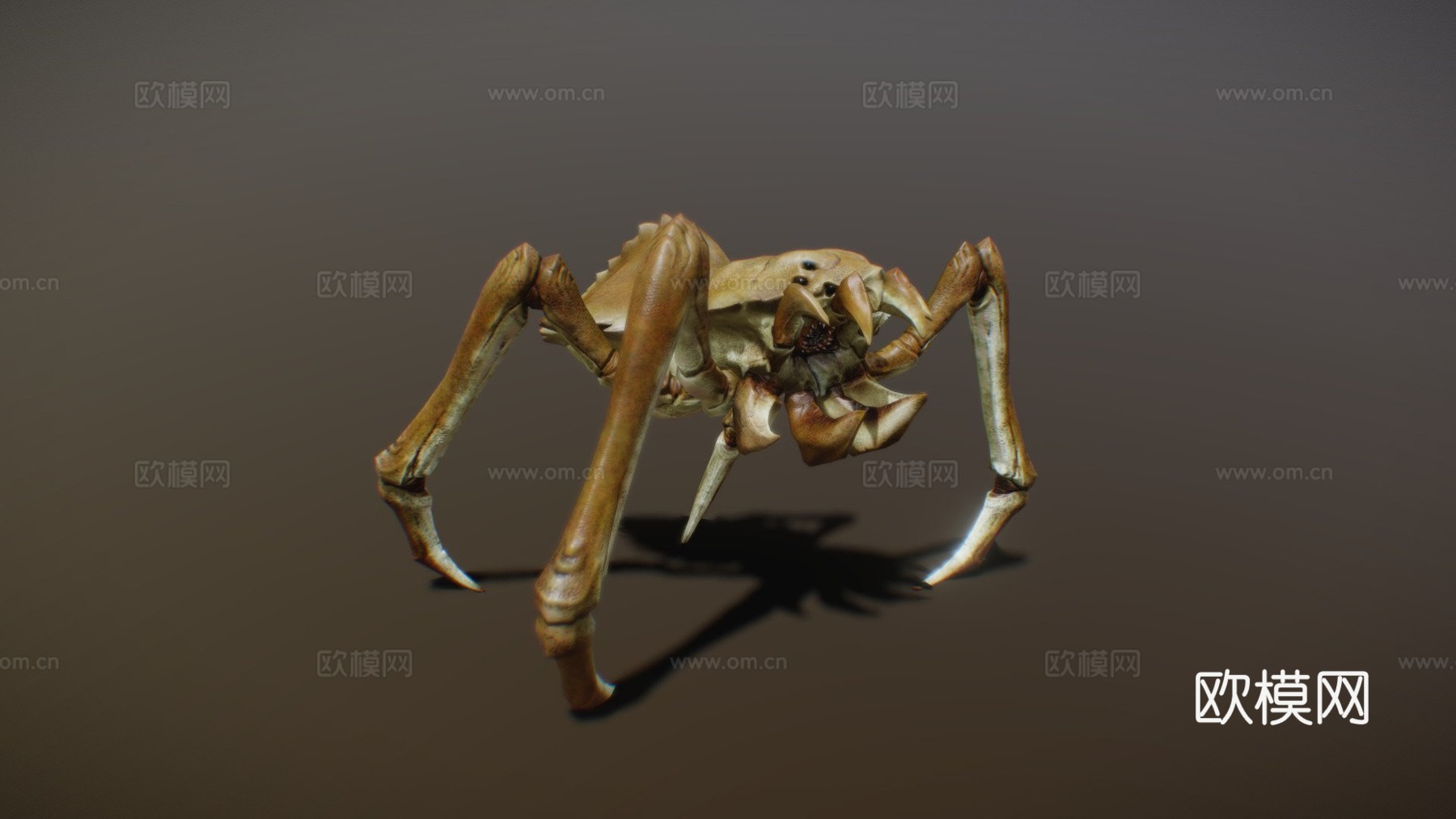 ARACK动画3d模型