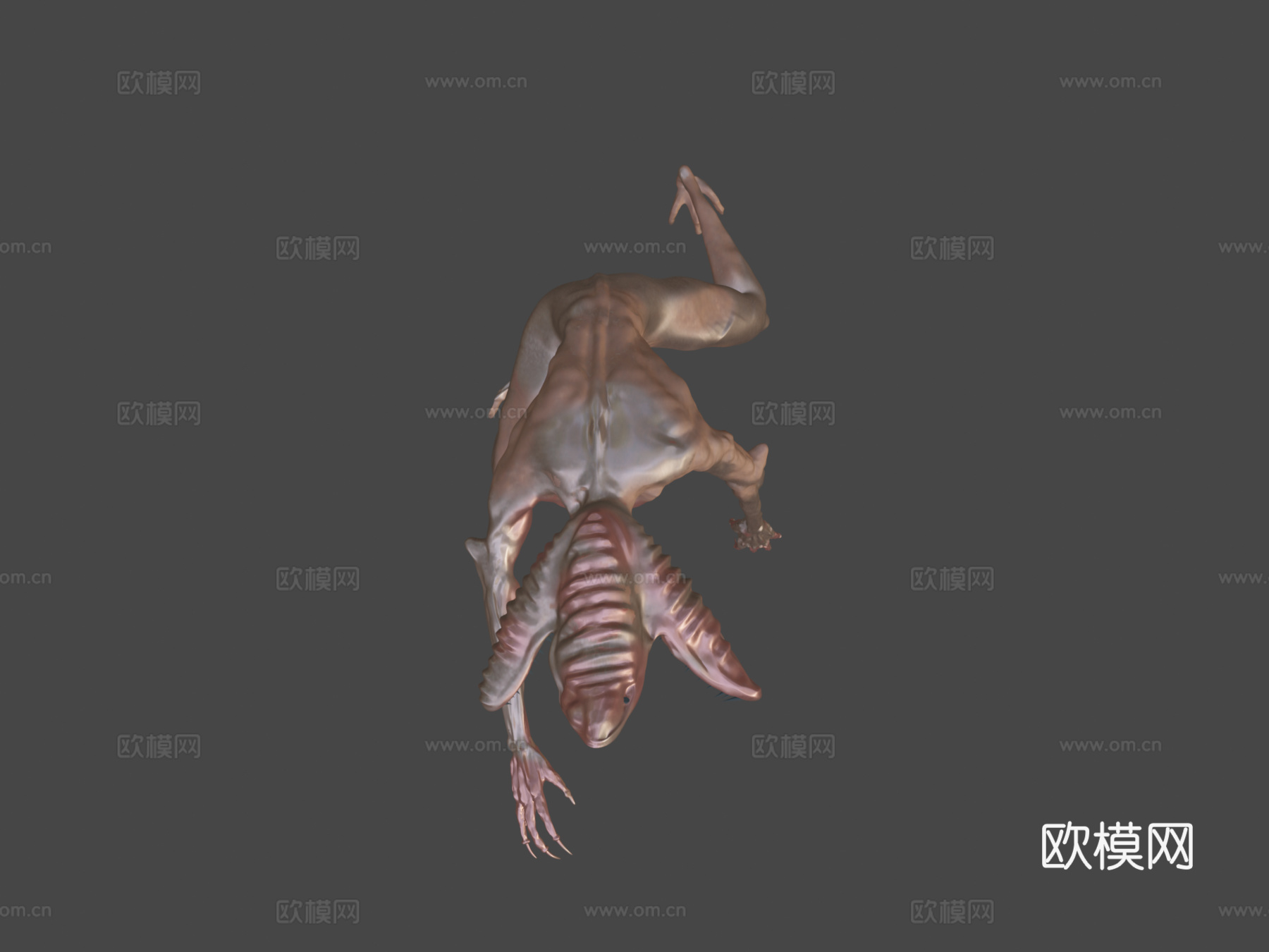 稀有闪光魔王熊3d模型