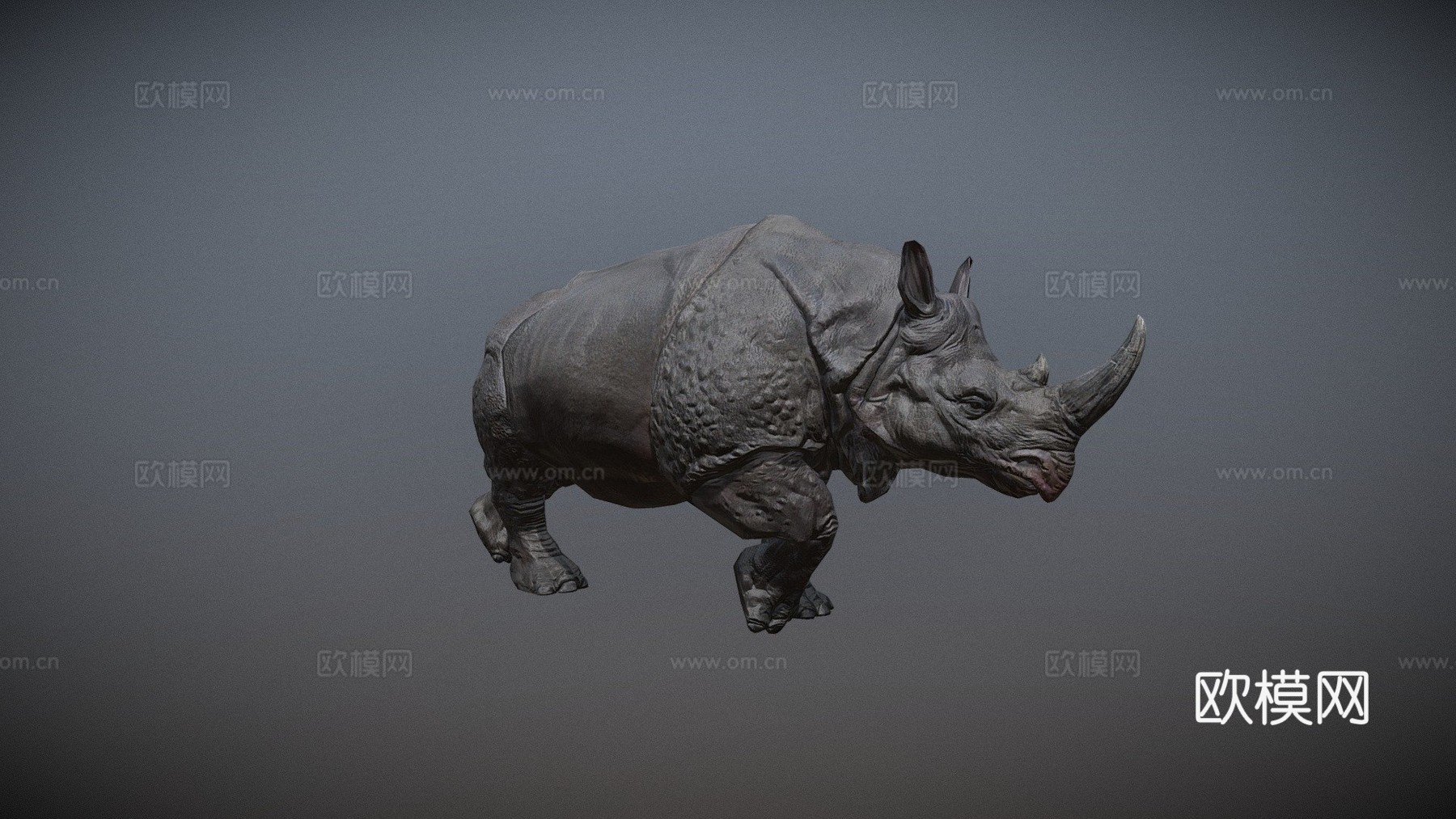 犀牛行走3d模型
