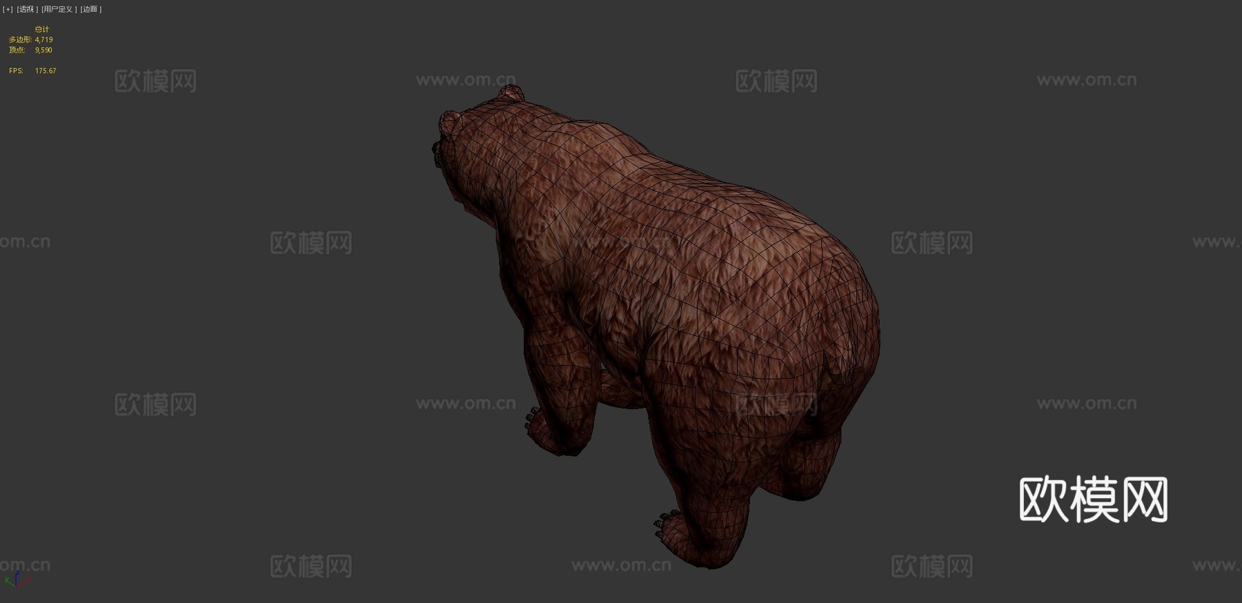 灰熊写实3D模型3d模型