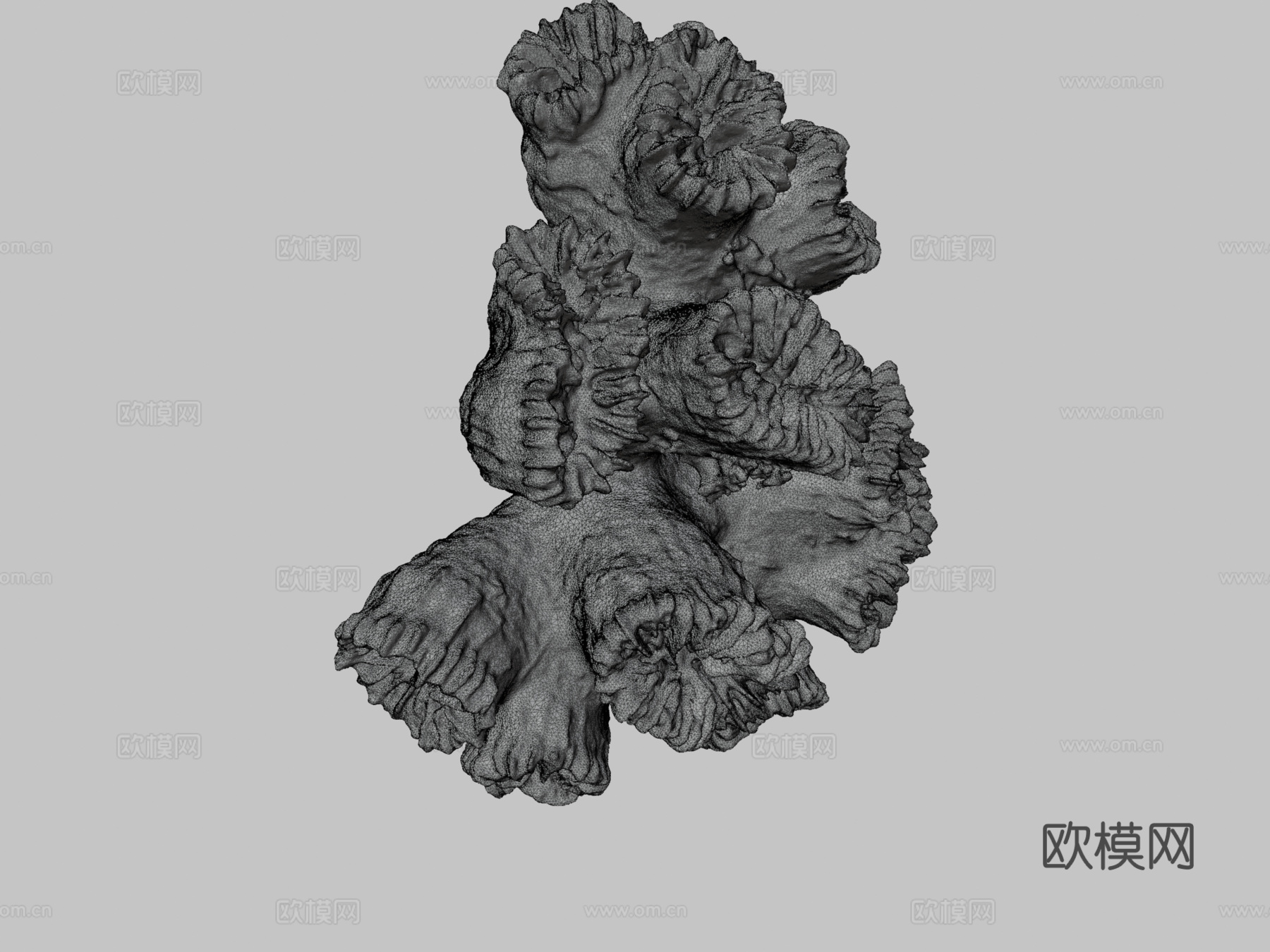 珊瑚3d模型