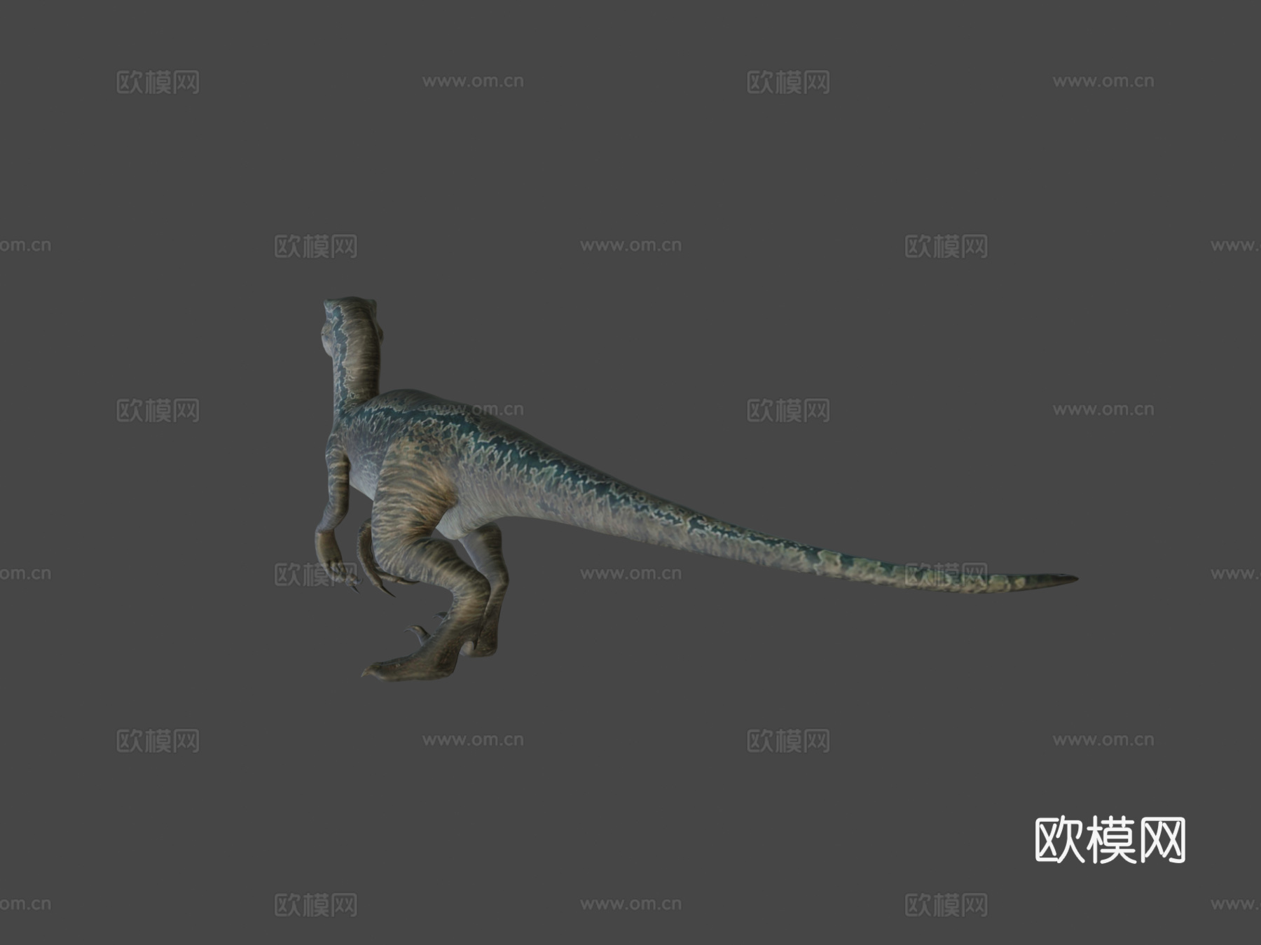 JW活体蓝色3d模型