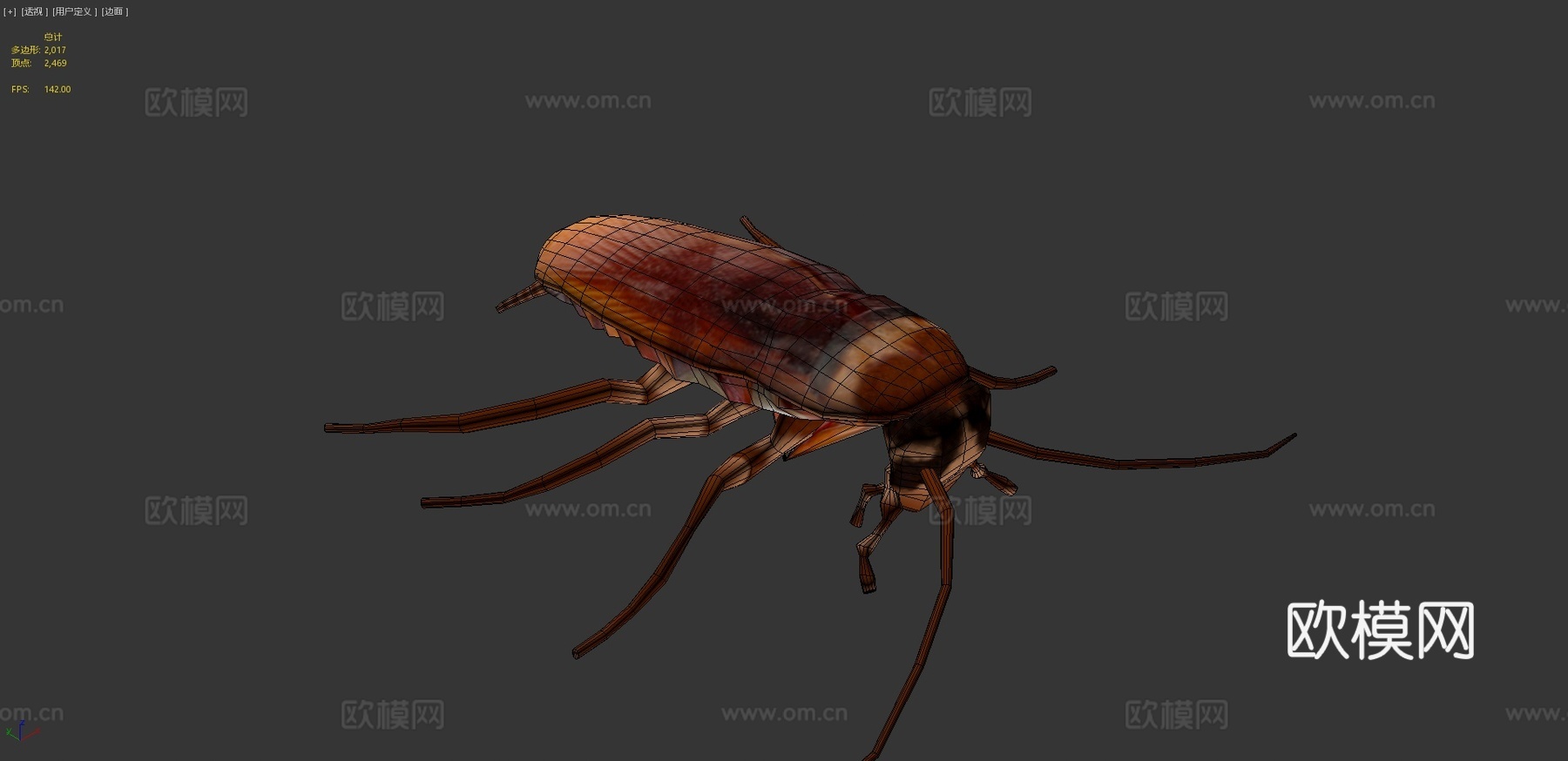 美洲蟑螂3d模型