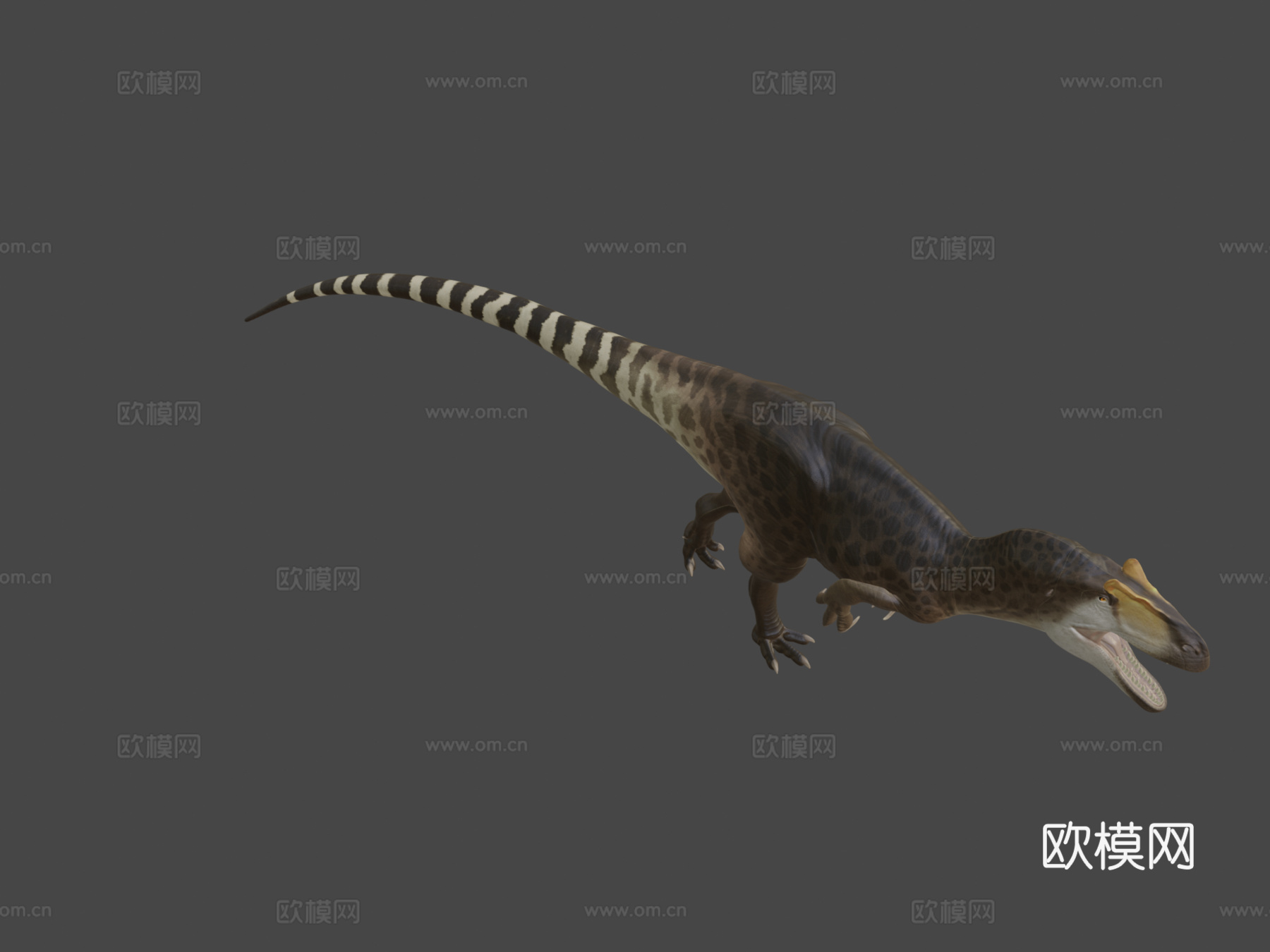 脆弱异特龙3d模型