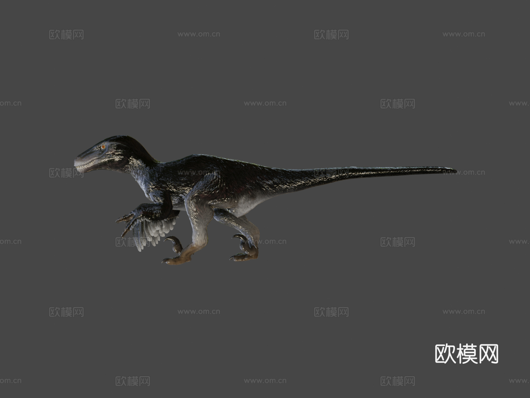 犹他盗龙3d模型