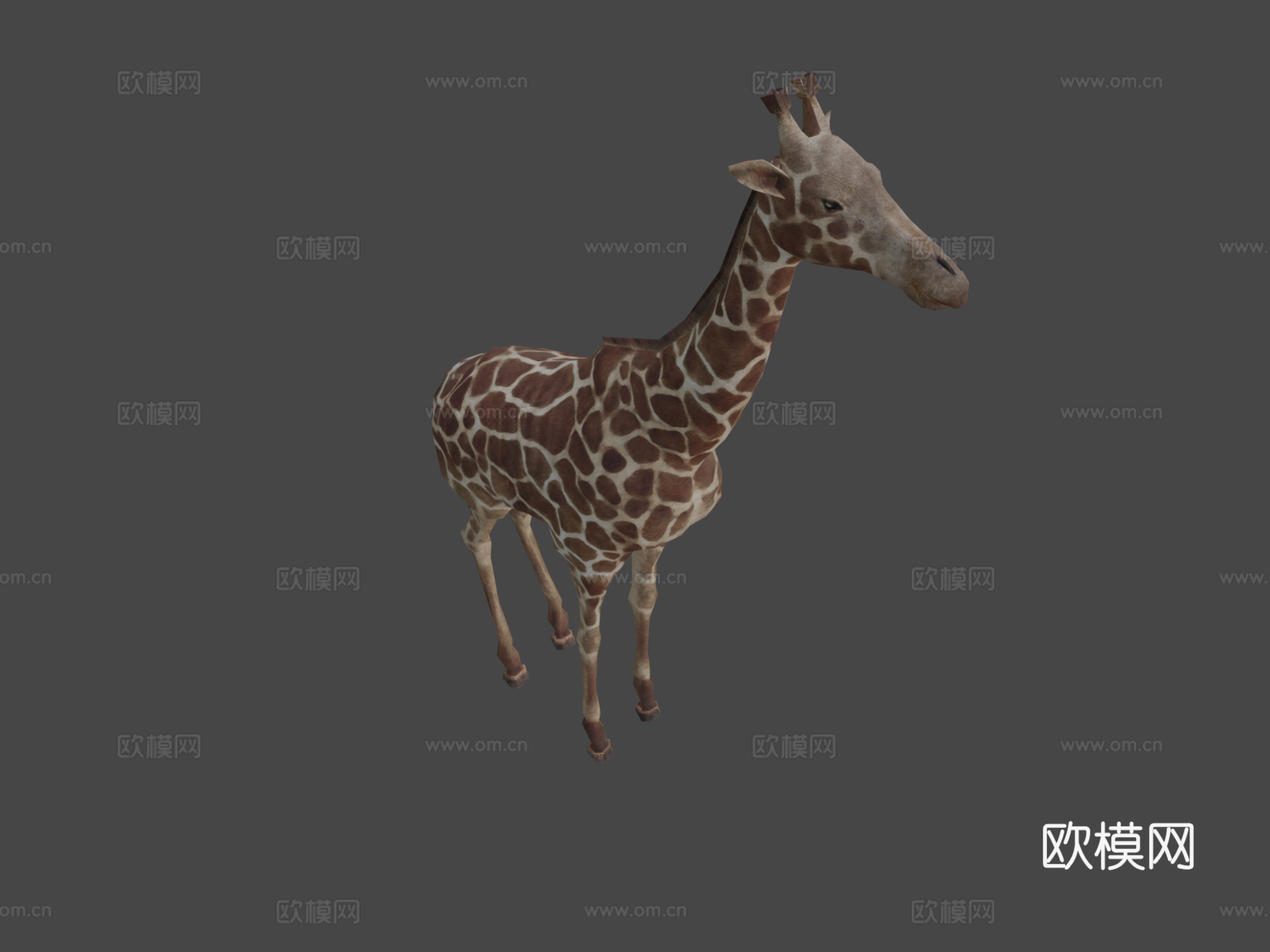 DRT-野生动物-长颈鹿3d模型