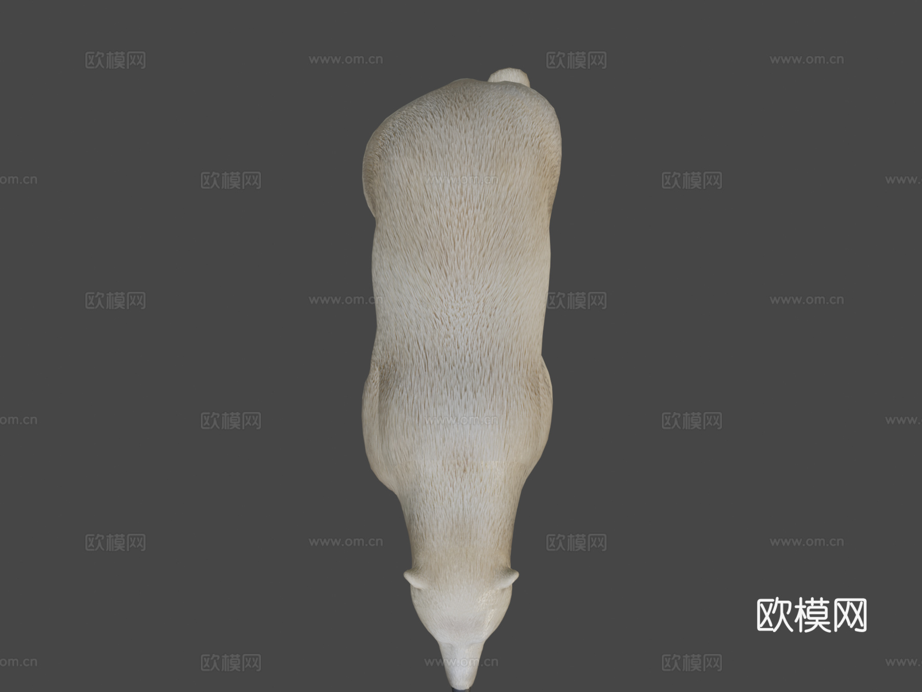 北极熊3d模型