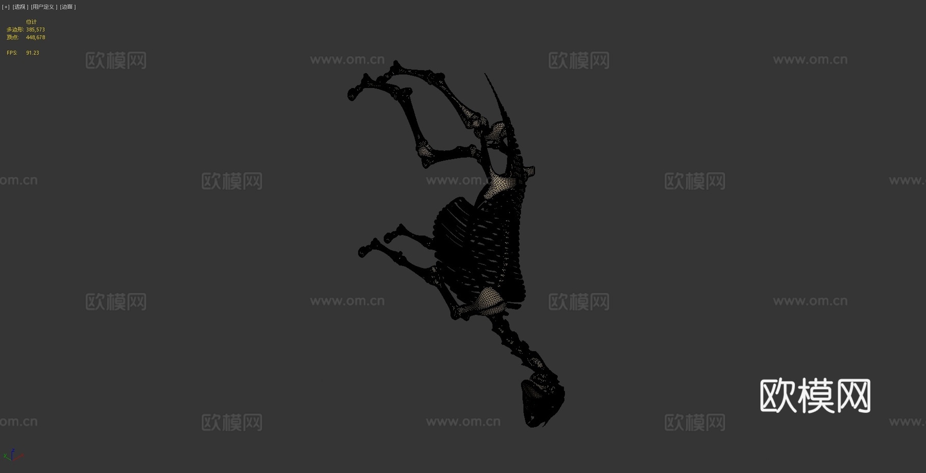 马骨架3d模型