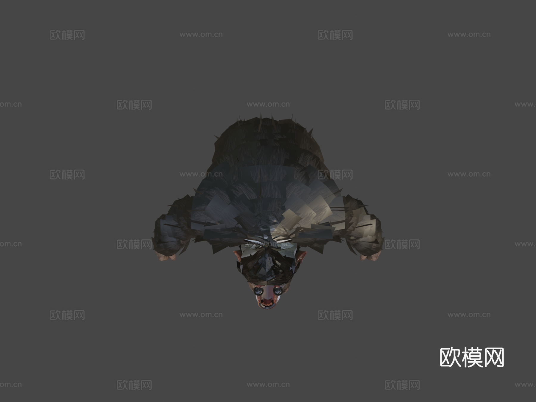 黑猩猩3d模型
