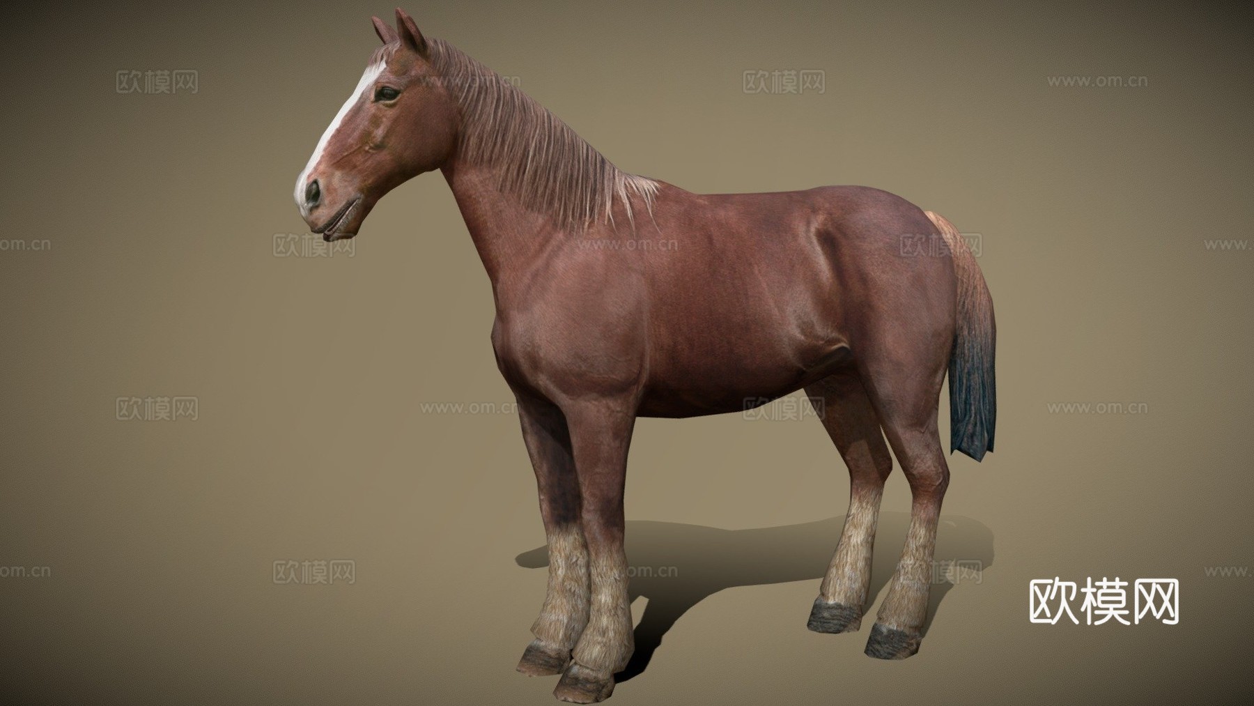 DRT-家养动物-马3d模型