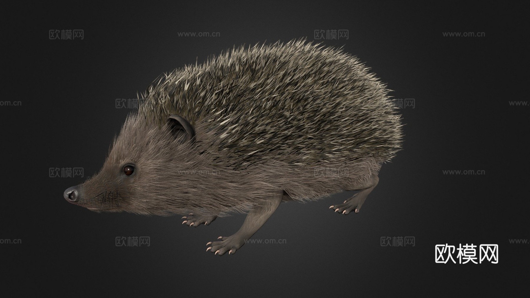 刺猬3d模型